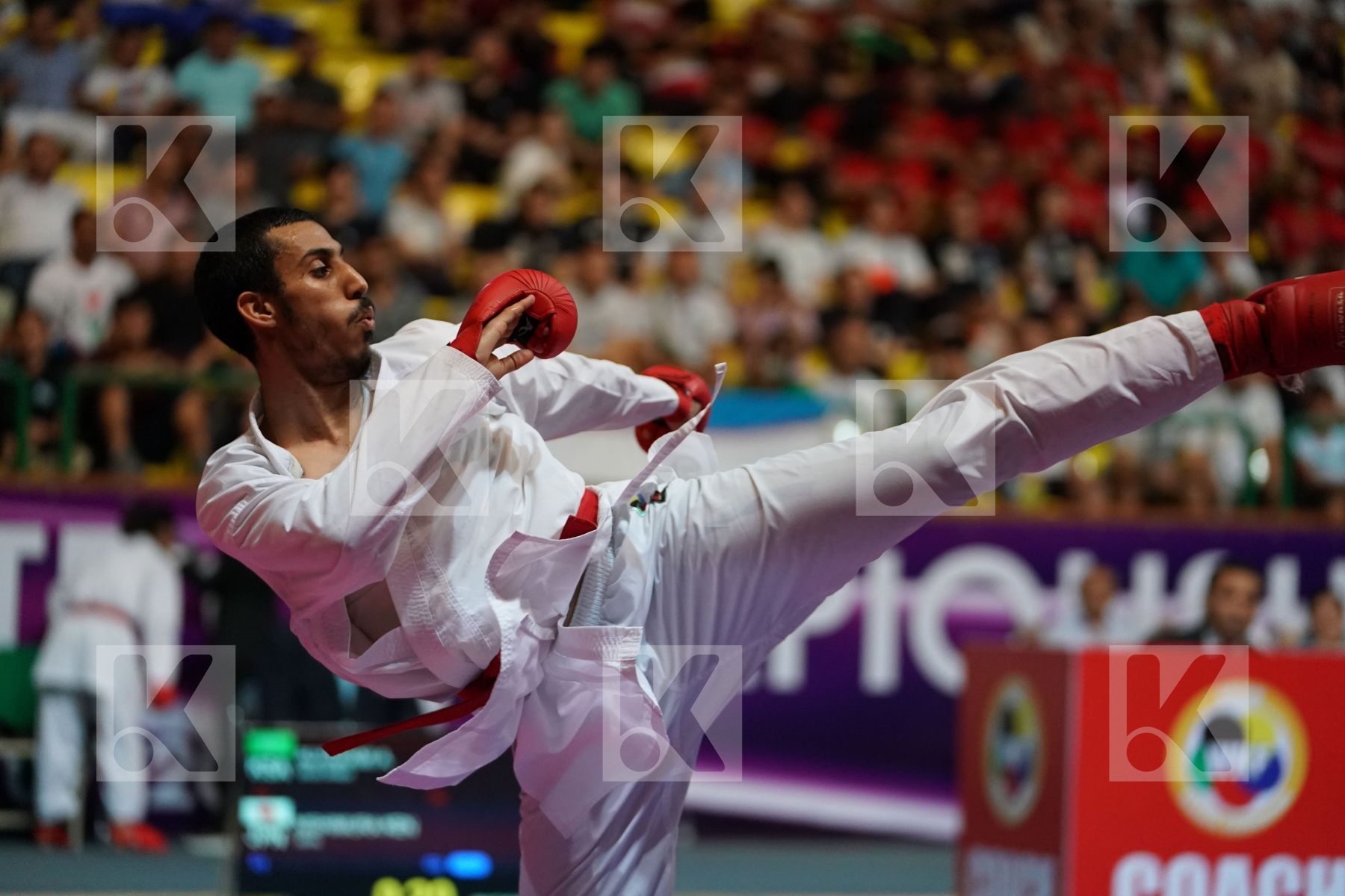 ALHAKAMI ABDULAZIZ (SAUDI ARABIA) vs NISHIMURA KEN (JAPAN) in Senior Kumite -75 Kg - Final bout