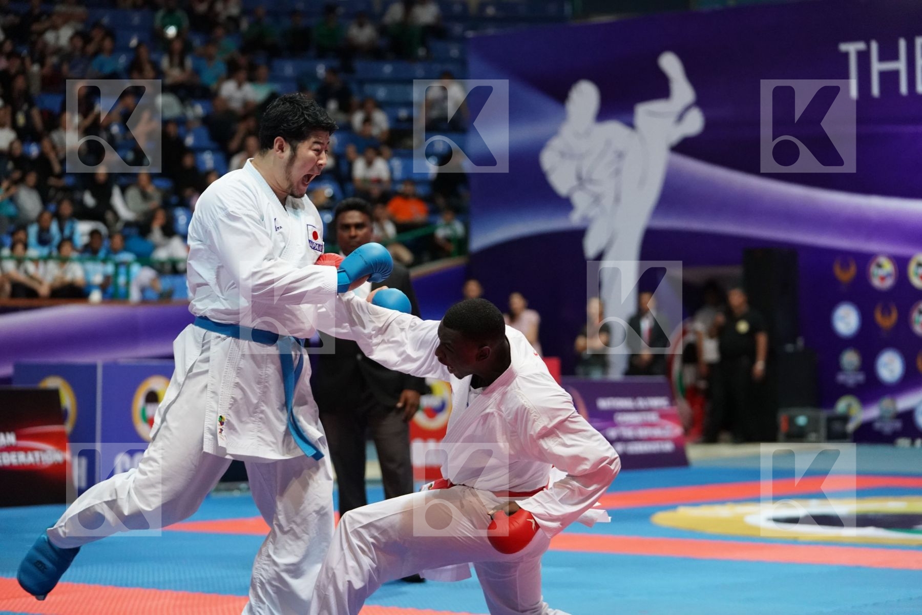 HAMEDI TAREG (SAUDI ARABIA) vs KAGAWA HIDEYOSHI (JAPAN) in Senior Kumite 84+ Kg - Final bout