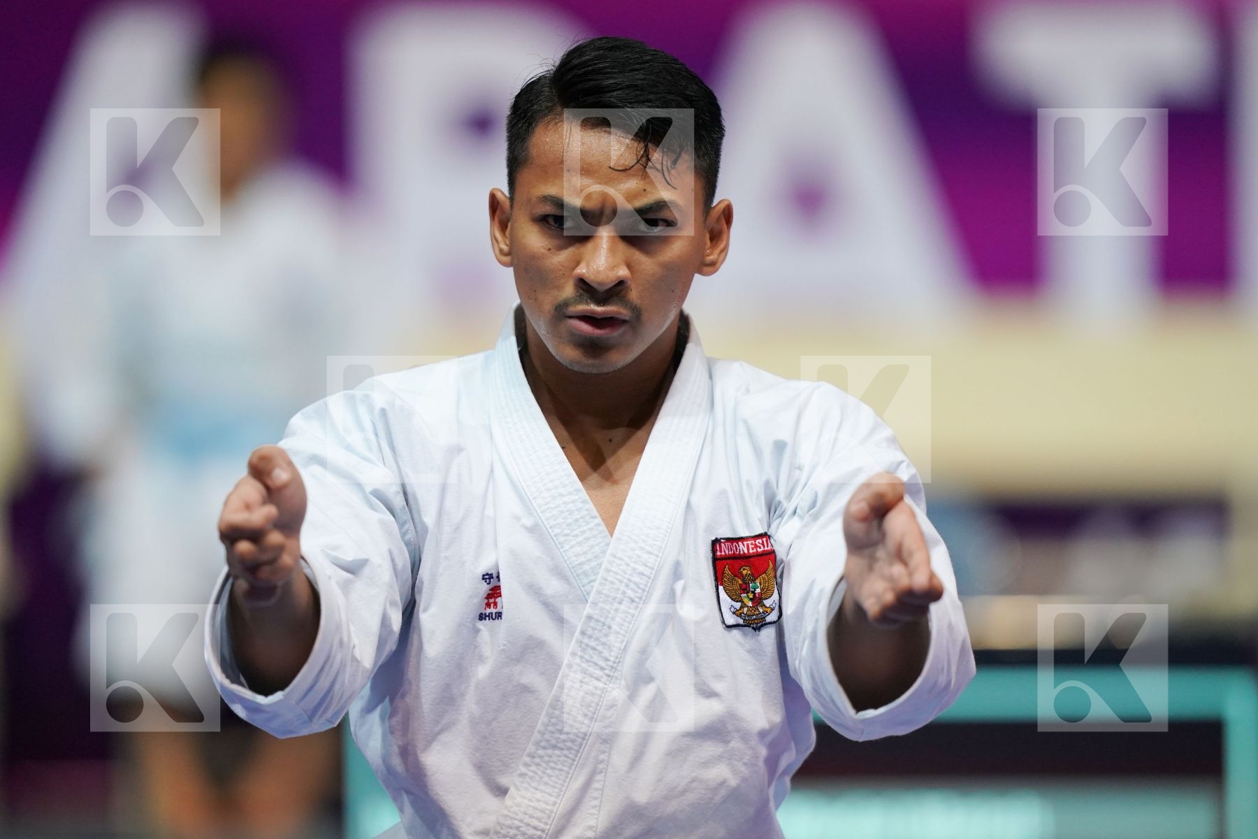 ZARESTA YUDA AHMAD ZIGI (INDONESIA) in Senior Male Kata - Final bout