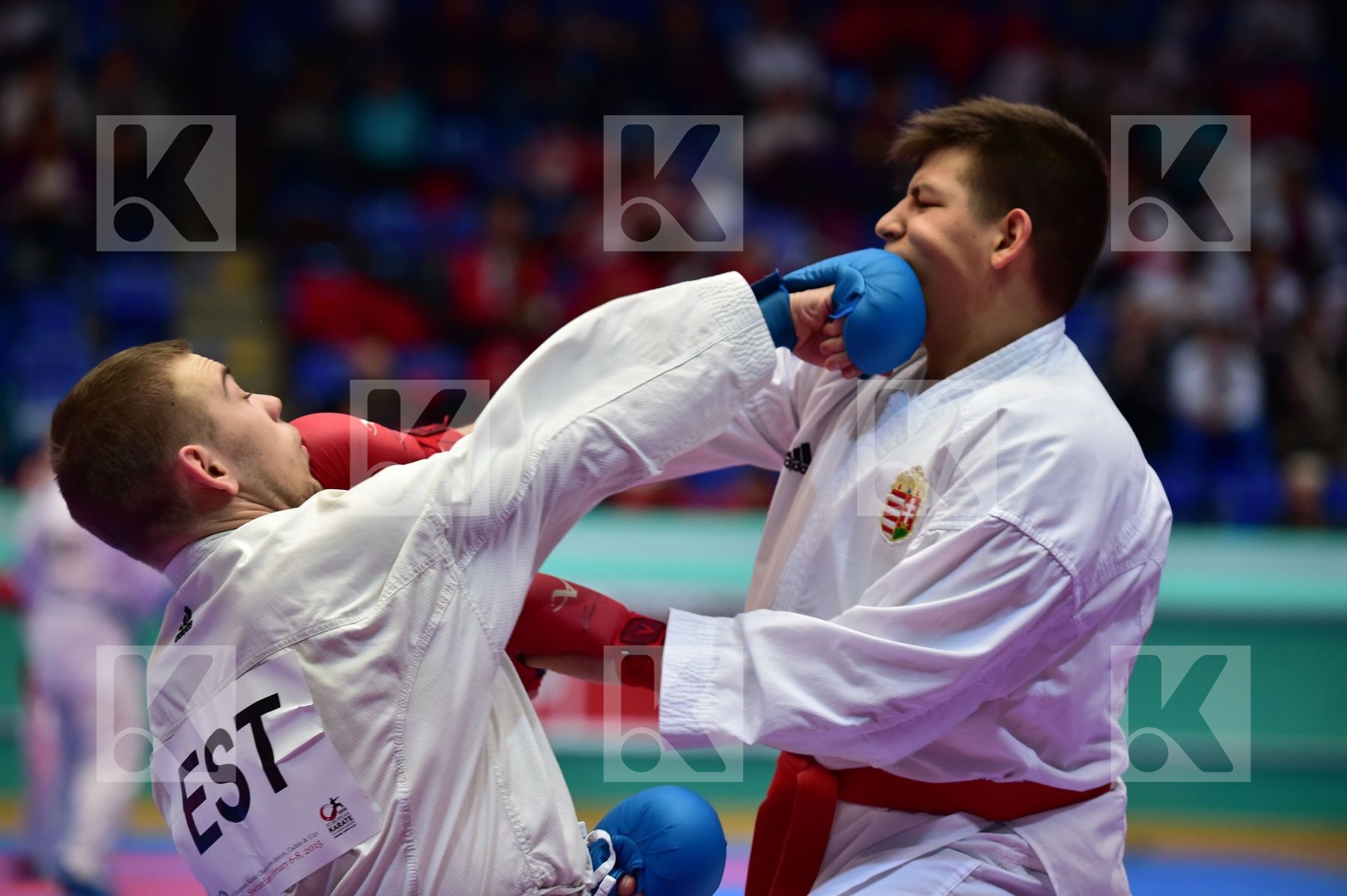 +76 Kg Estonia Honing Adam Buda hungary junior kumite male Samle