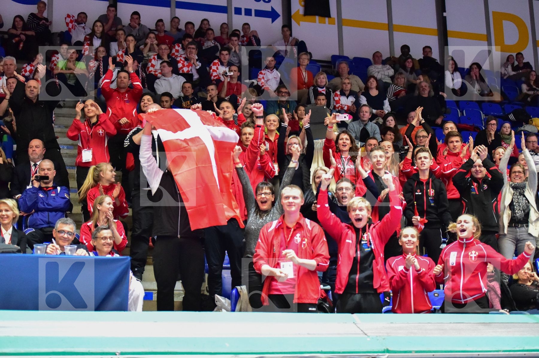 Denmark finals junior supporter