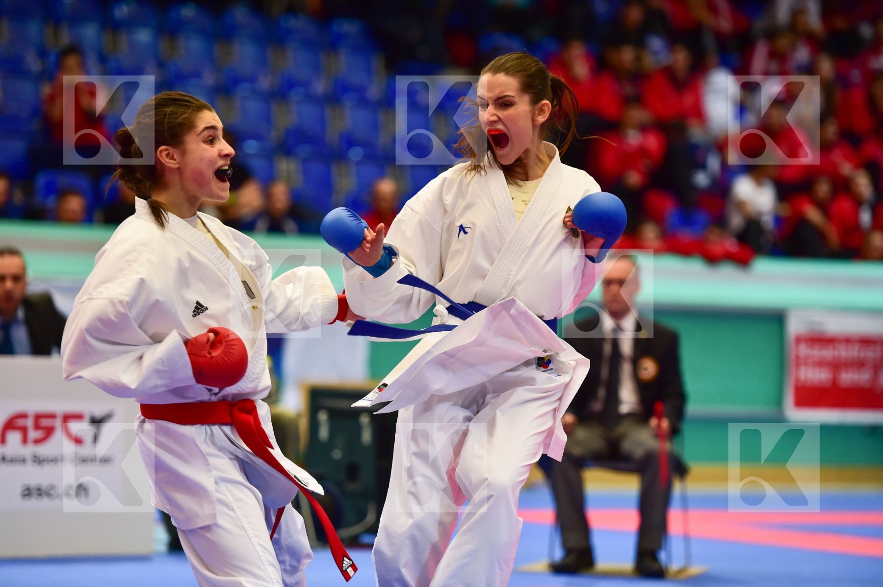 -53 kg Bosnia And Herzegovina Brito Andrea female finals france