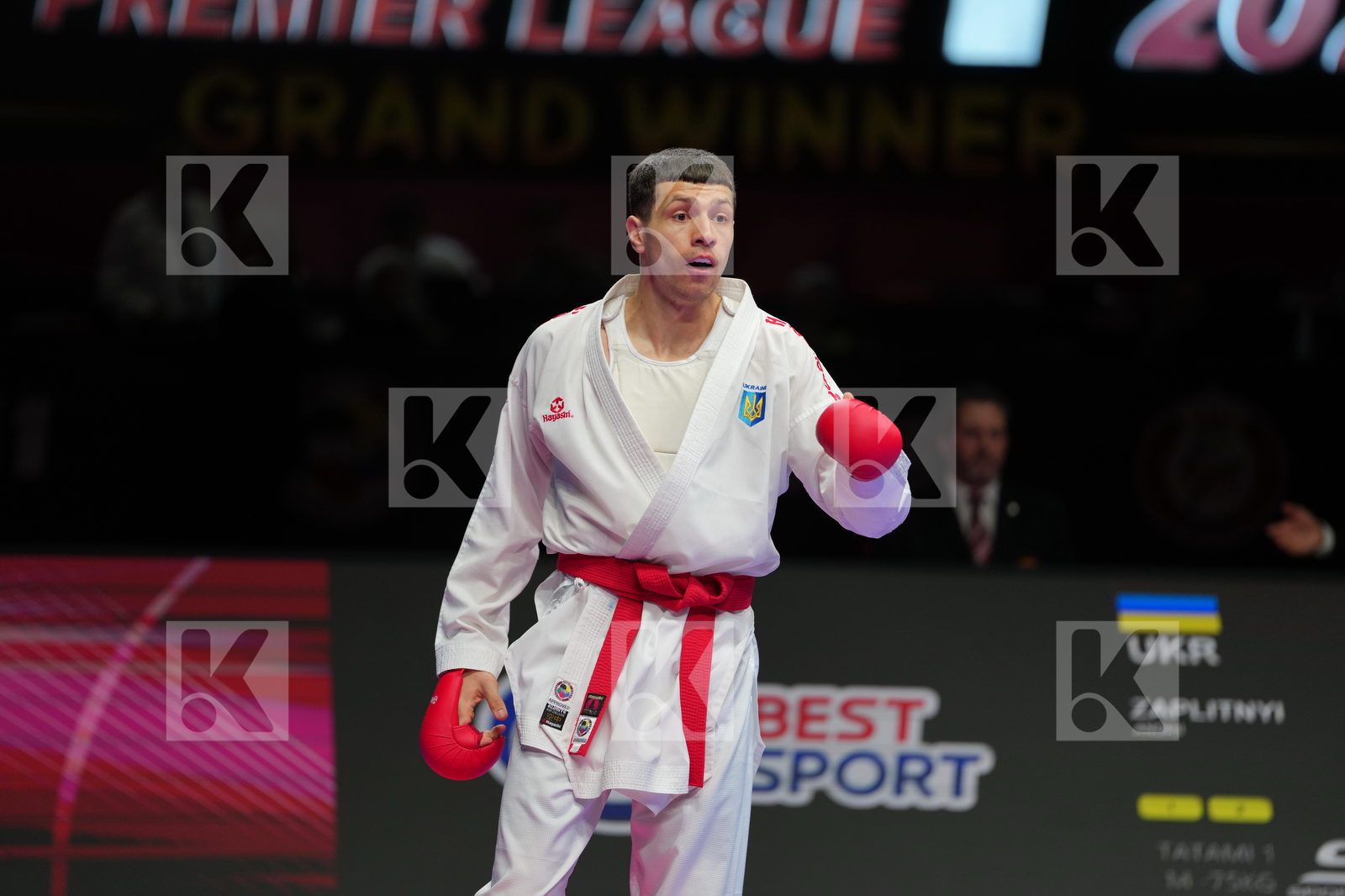 ZAPLITNYI ANDRII (UKRAINE) vs BULUT ENES (TURKIYE) in Male Kumite -75 Kg - Bronze Bout