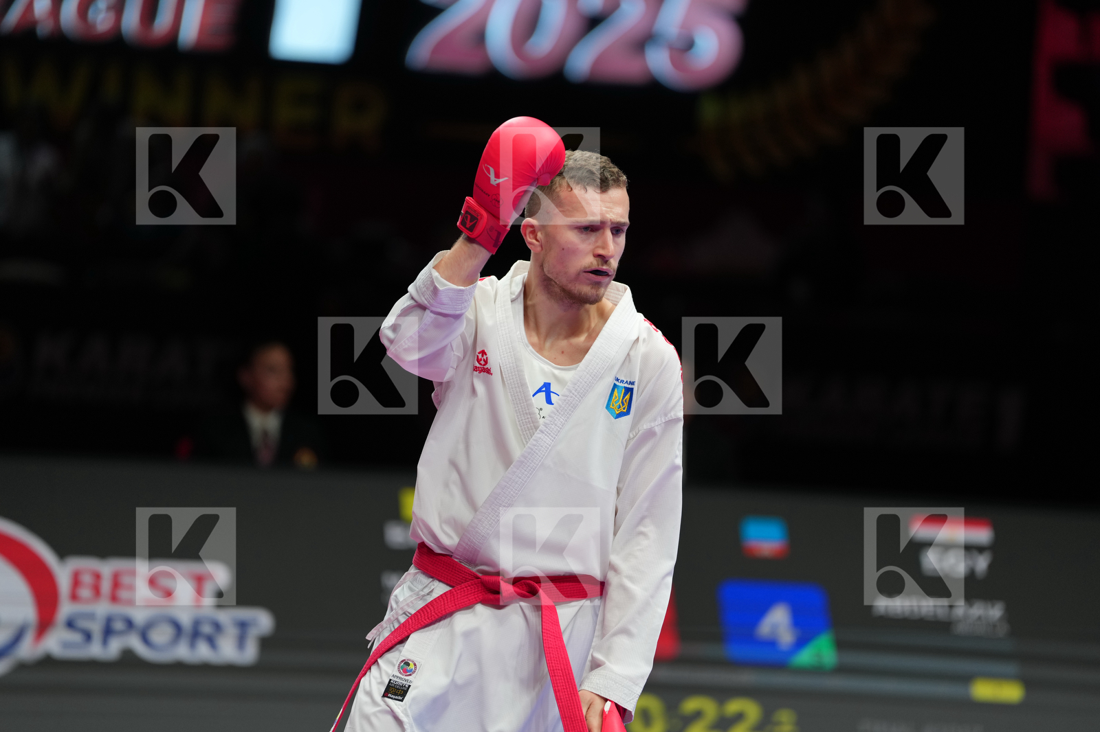 MAHAUDEN QUENTIN (BELGIUM) vs ABDELAZIZ ABDALLA (EGYPT) in Male Kumite -75 Kg - Final Bout