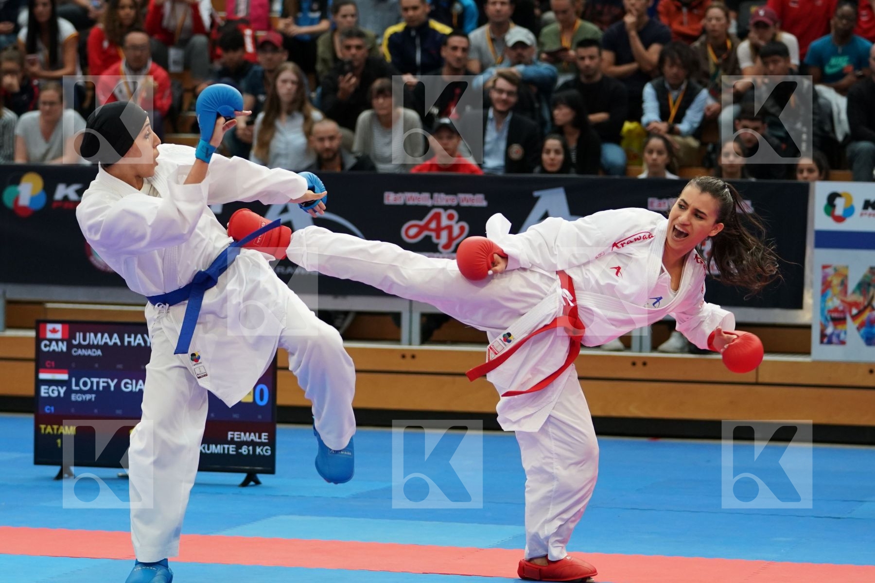 JUMAA HAYA (CANADA) vs LOTFY GIANA (EGYPT) in Senior Kumite Ð 61 Kg - Bronze bout