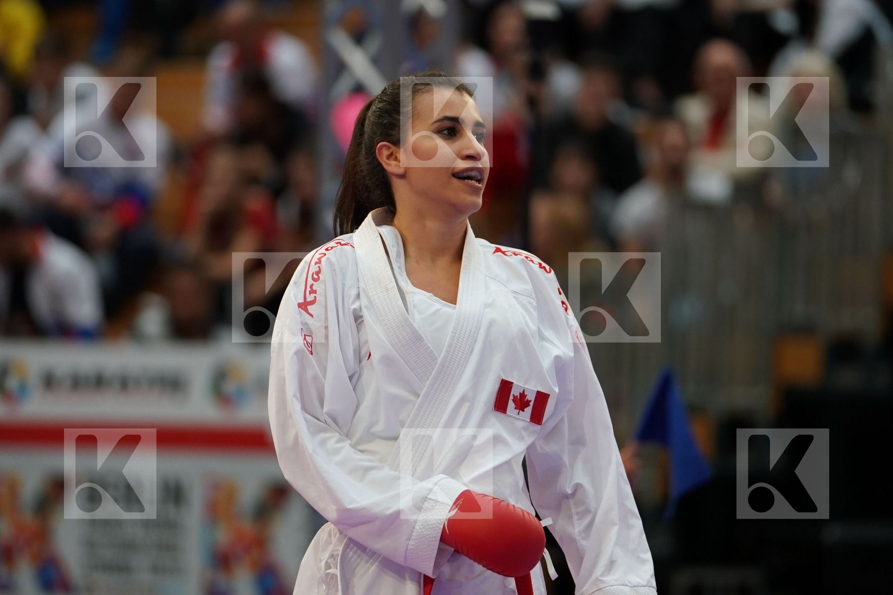 JUMAA HAYA (CANADA) vs LOTFY GIANA (EGYPT) in Senior Kumite Ð 61 Kg - Bronze bout