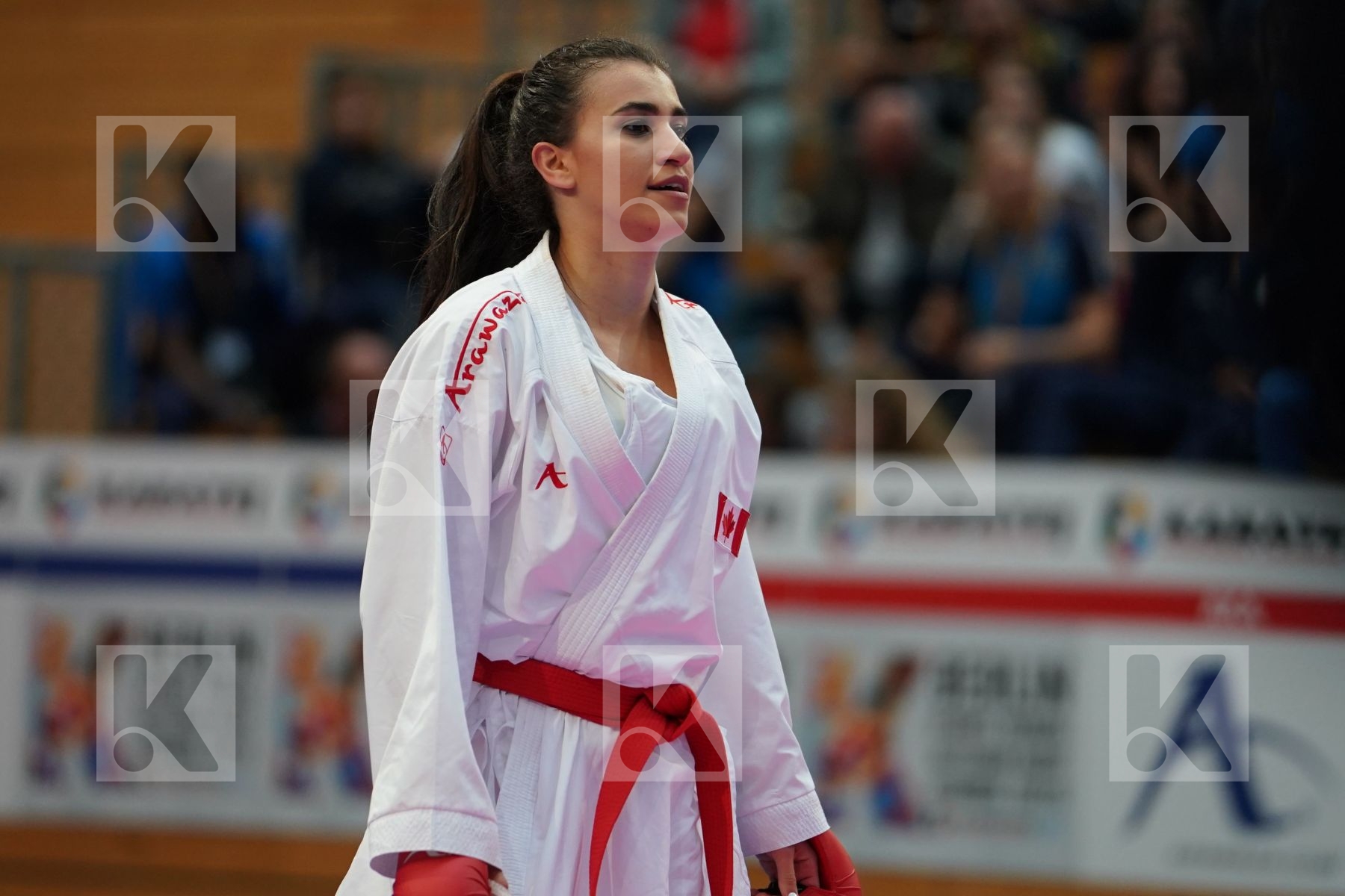 JUMAA HAYA (CANADA) vs LOTFY GIANA (EGYPT) in Senior Kumite Ð 61 Kg - Bronze bout