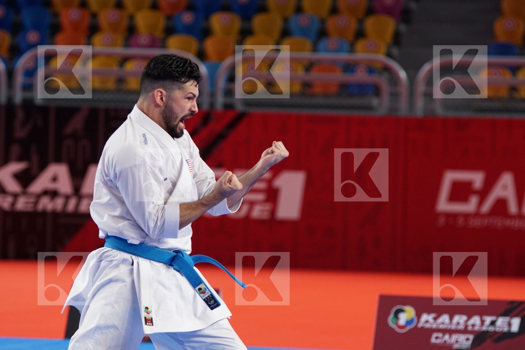 Ariel TORRES GUTIERREZ (USA) in Male Kata - Bronze bout