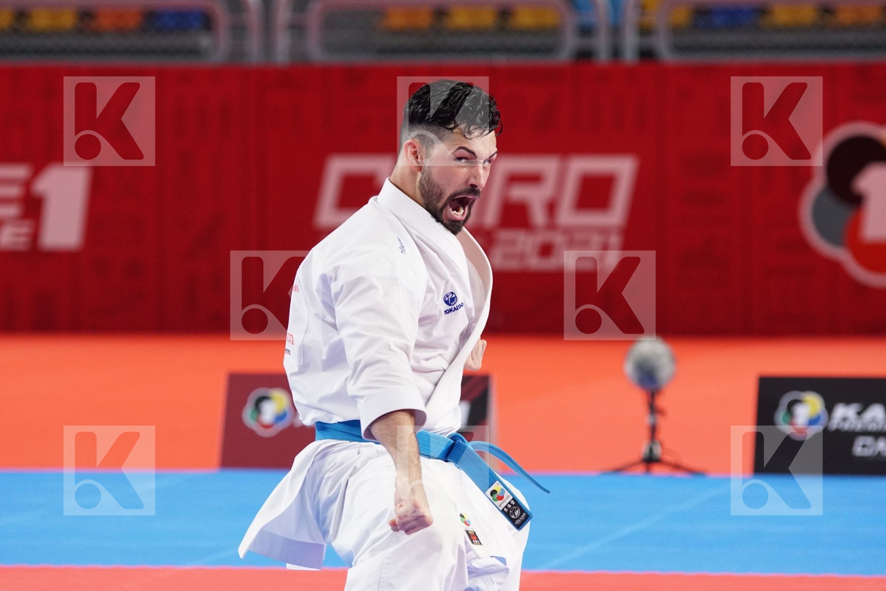 Ariel TORRES GUTIERREZ (USA) in Male Kata - Bronze bout