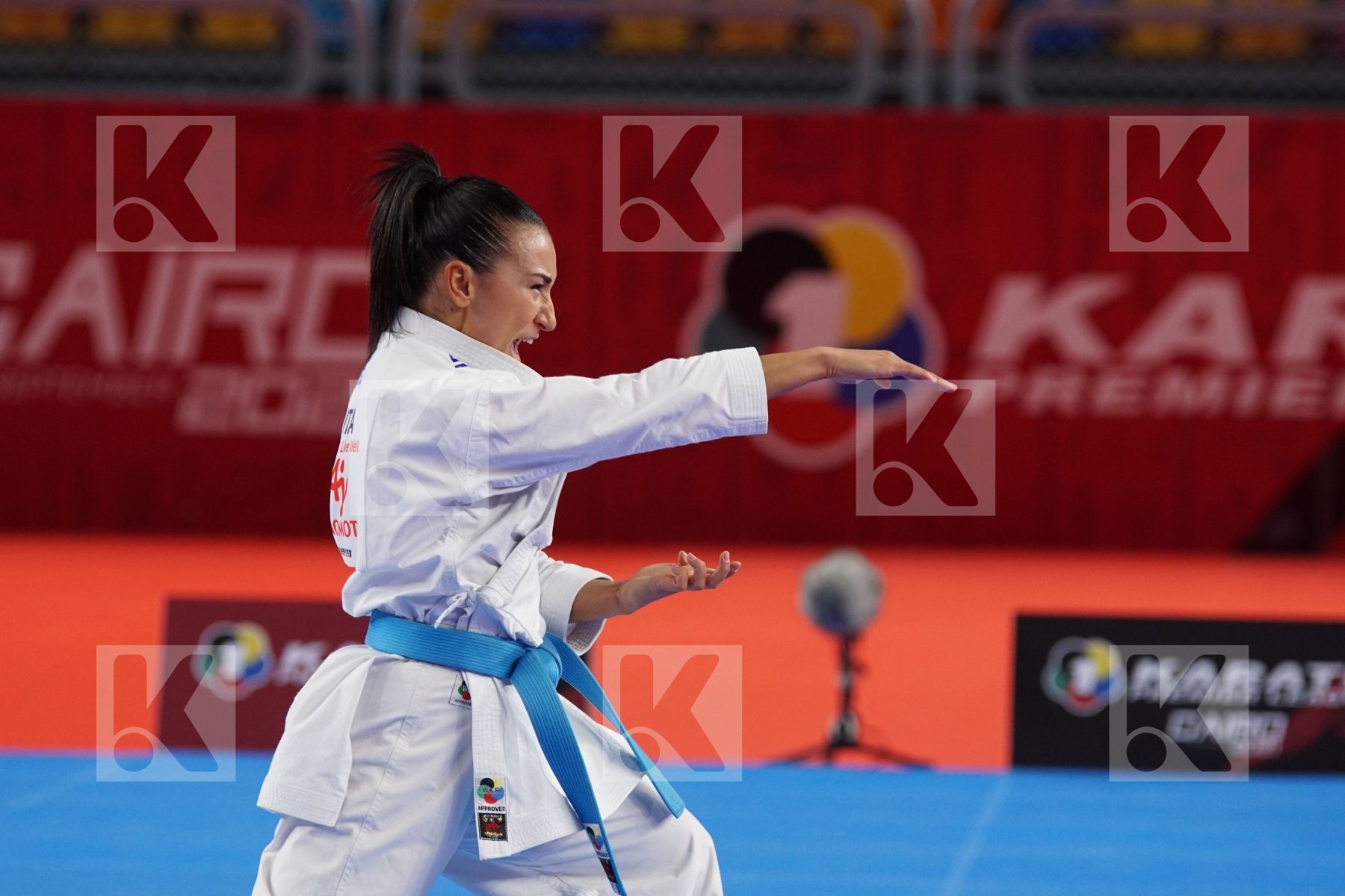 Teneryana DONOFRIO (ITALY) in Female Kata - Gold bout