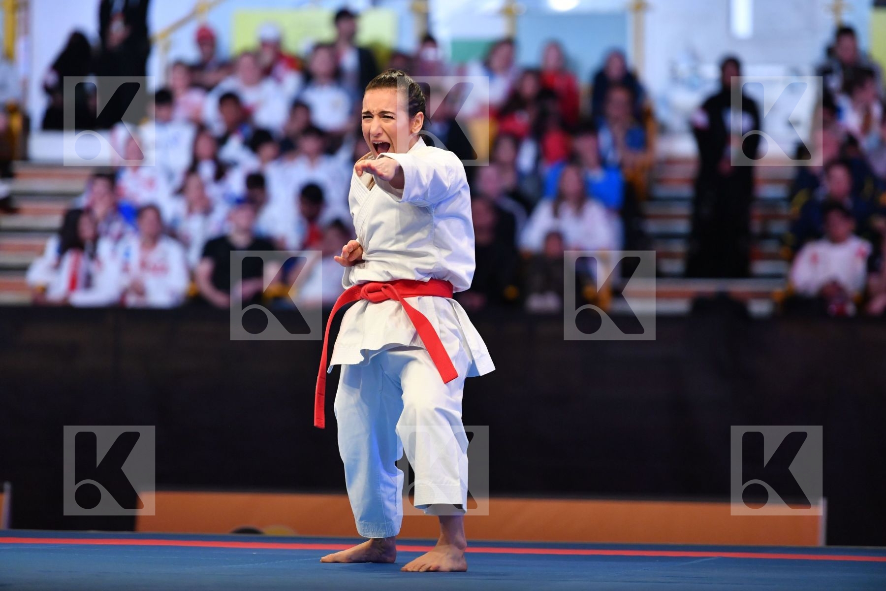 Anan dai D onofrio Terryana Female kata < LRBarcodes Italy