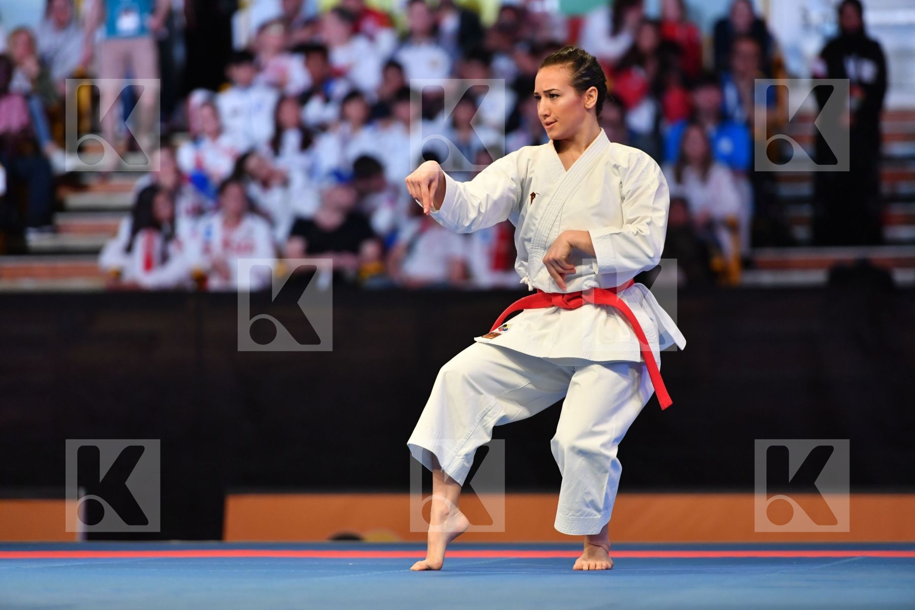 Anan dai D onofrio Terryana Female kata < LRBarcodes Italy