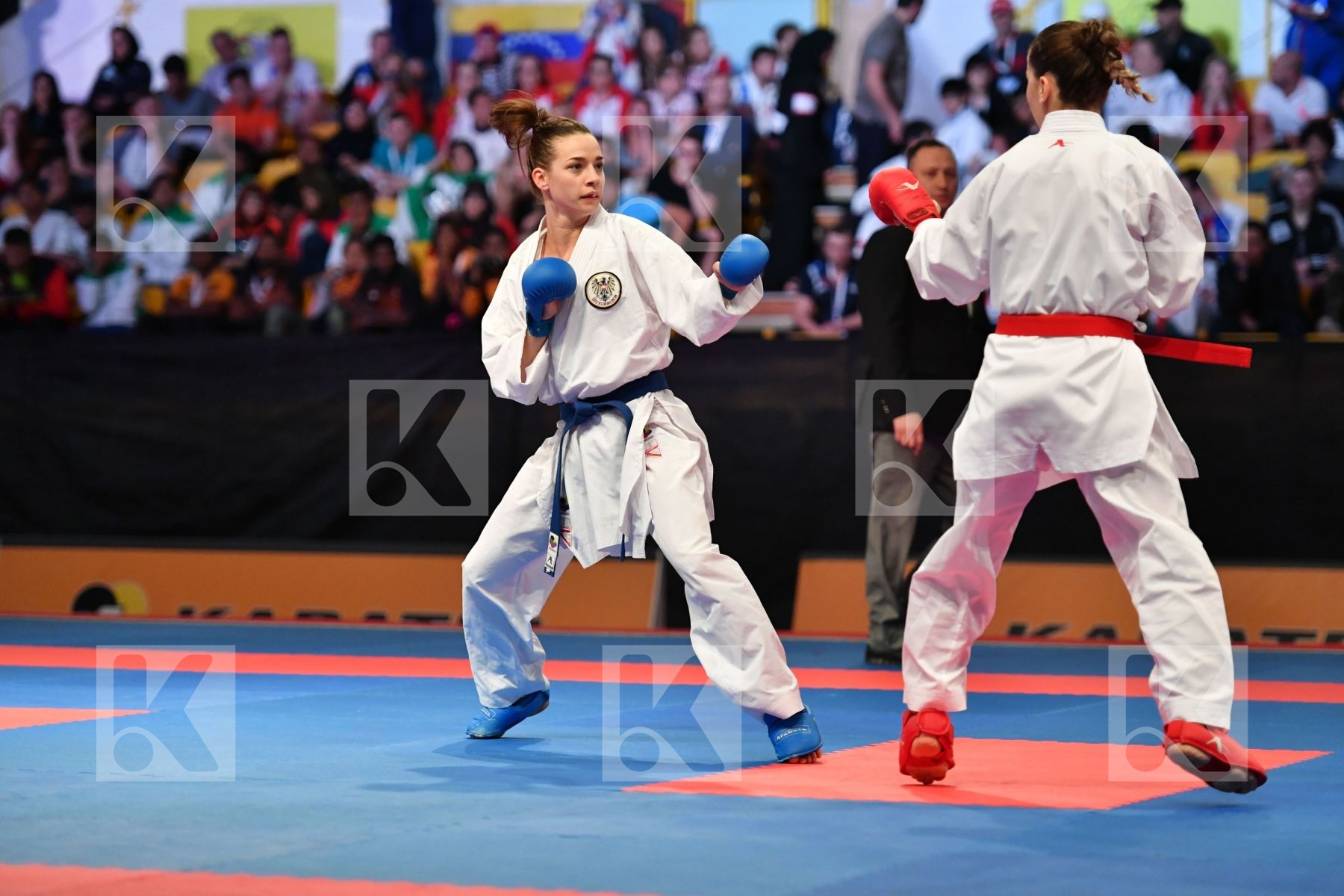 Austria Female kumite -50 kg < LRBarcodes Ozcelik Serap Plank Be
