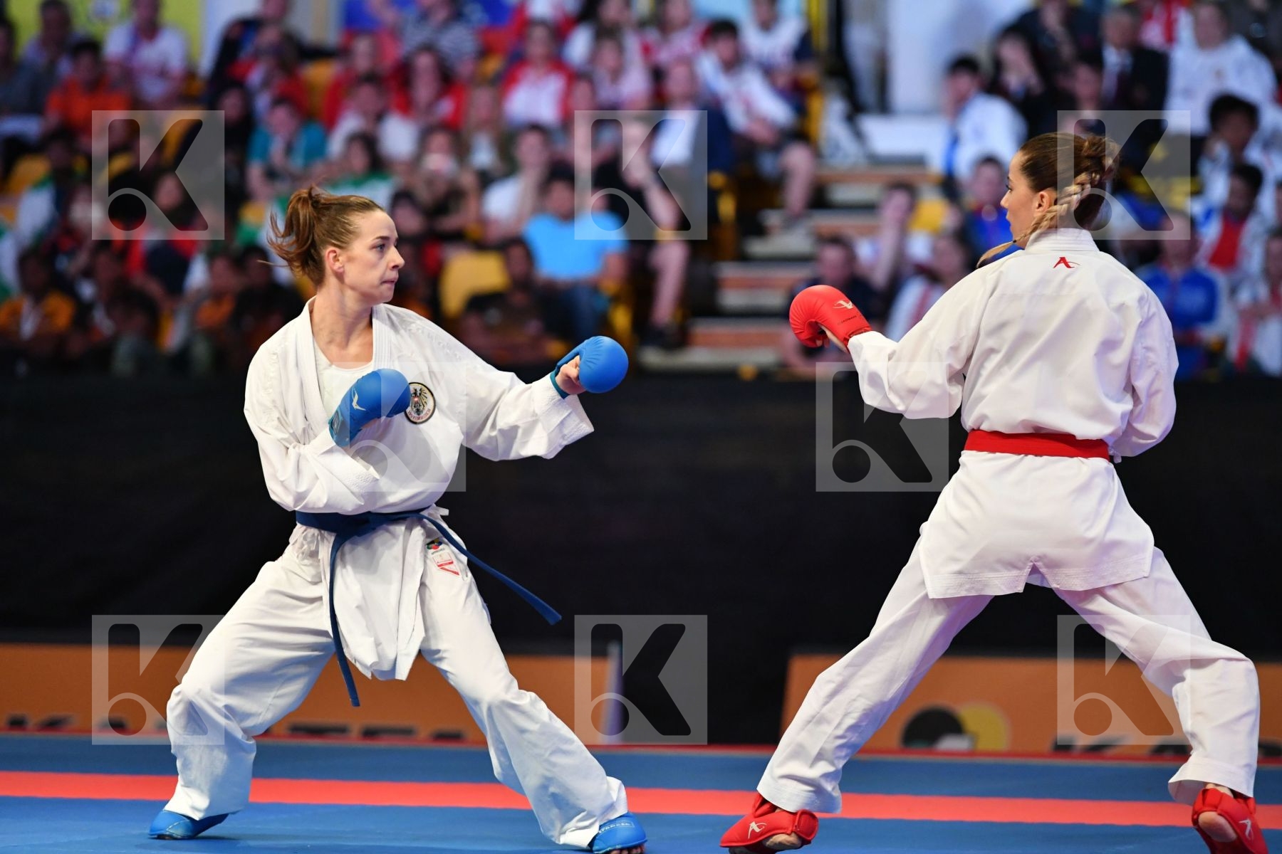 Austria Female kumite -50 kg < LRBarcodes Ozcelik Serap Plank Be