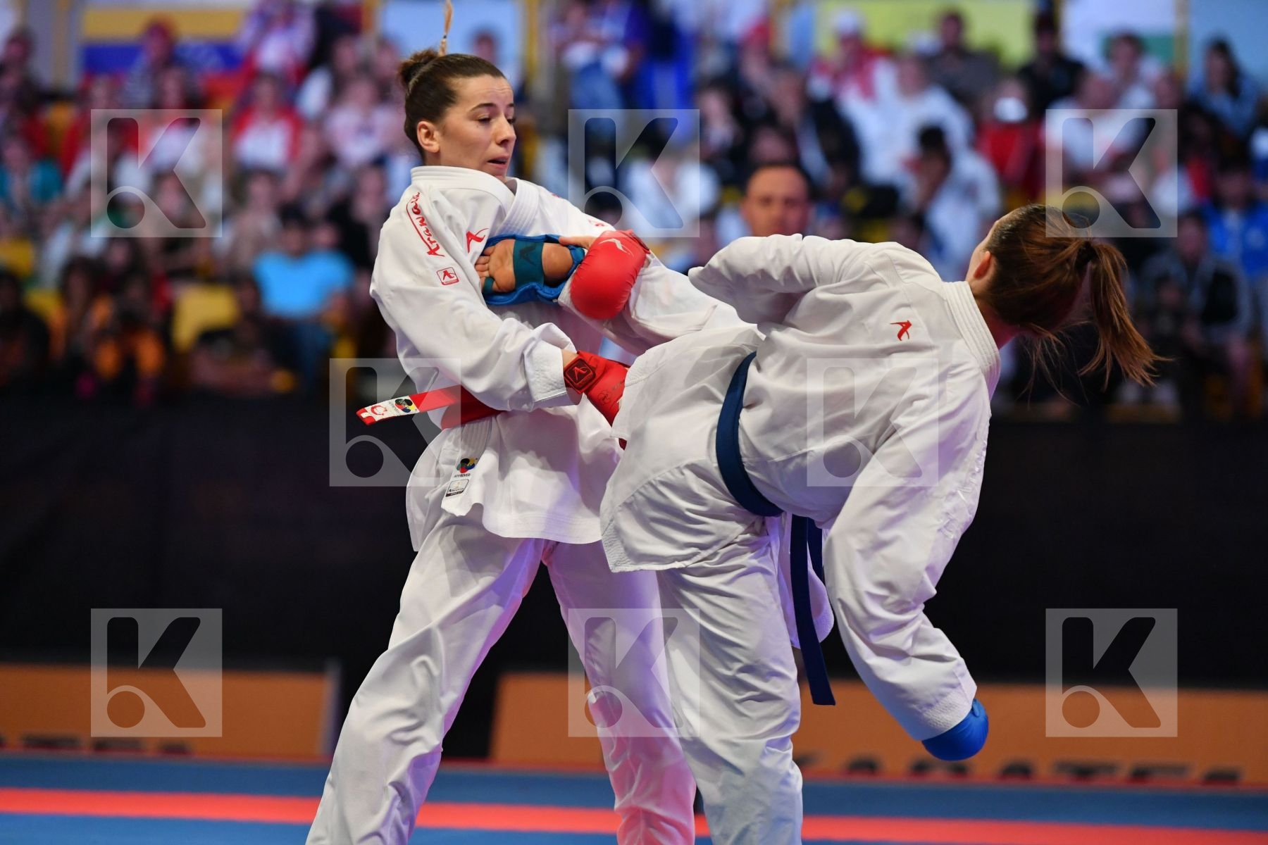 Austria Female kumite -50 kg < LRBarcodes Ozcelik Serap Plank Be