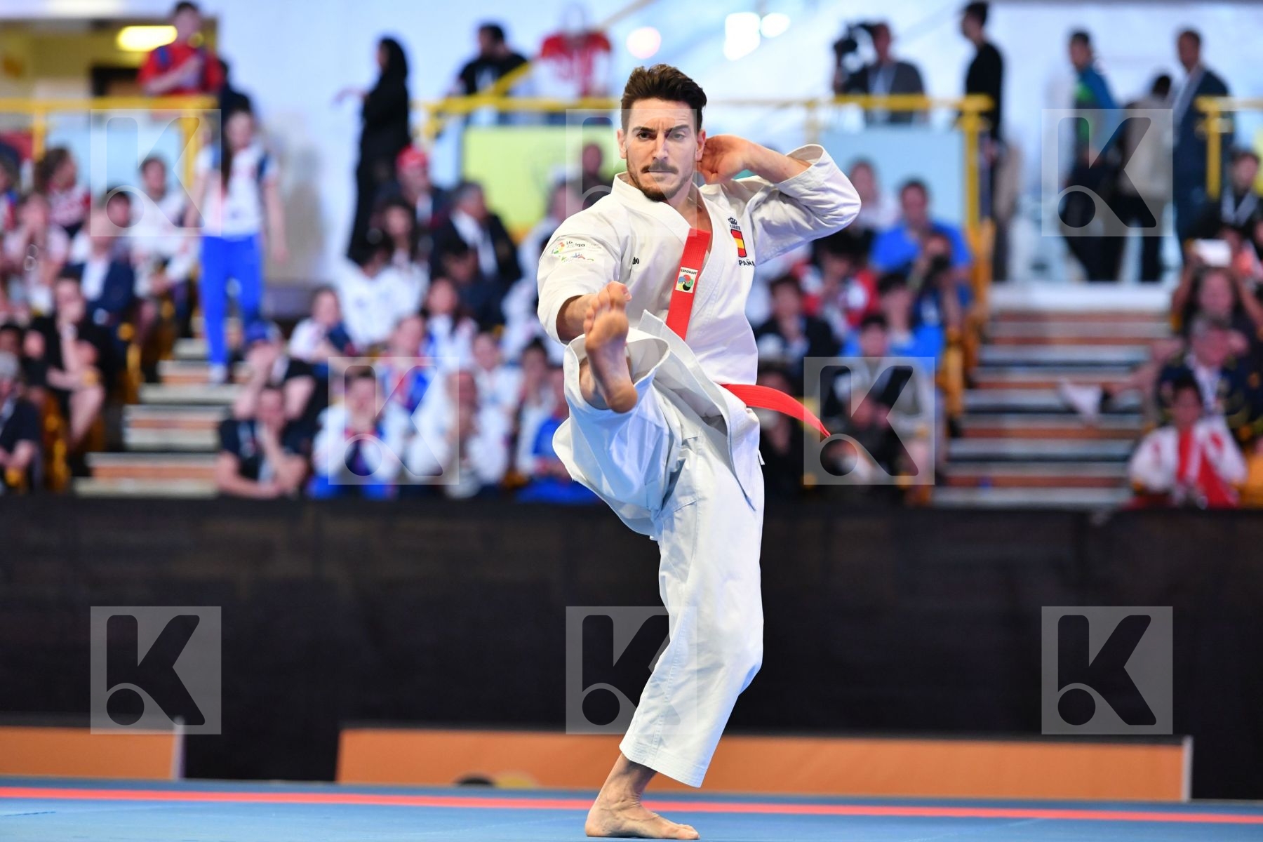 Male kata < LRBarcodes Quintero Damian Spain