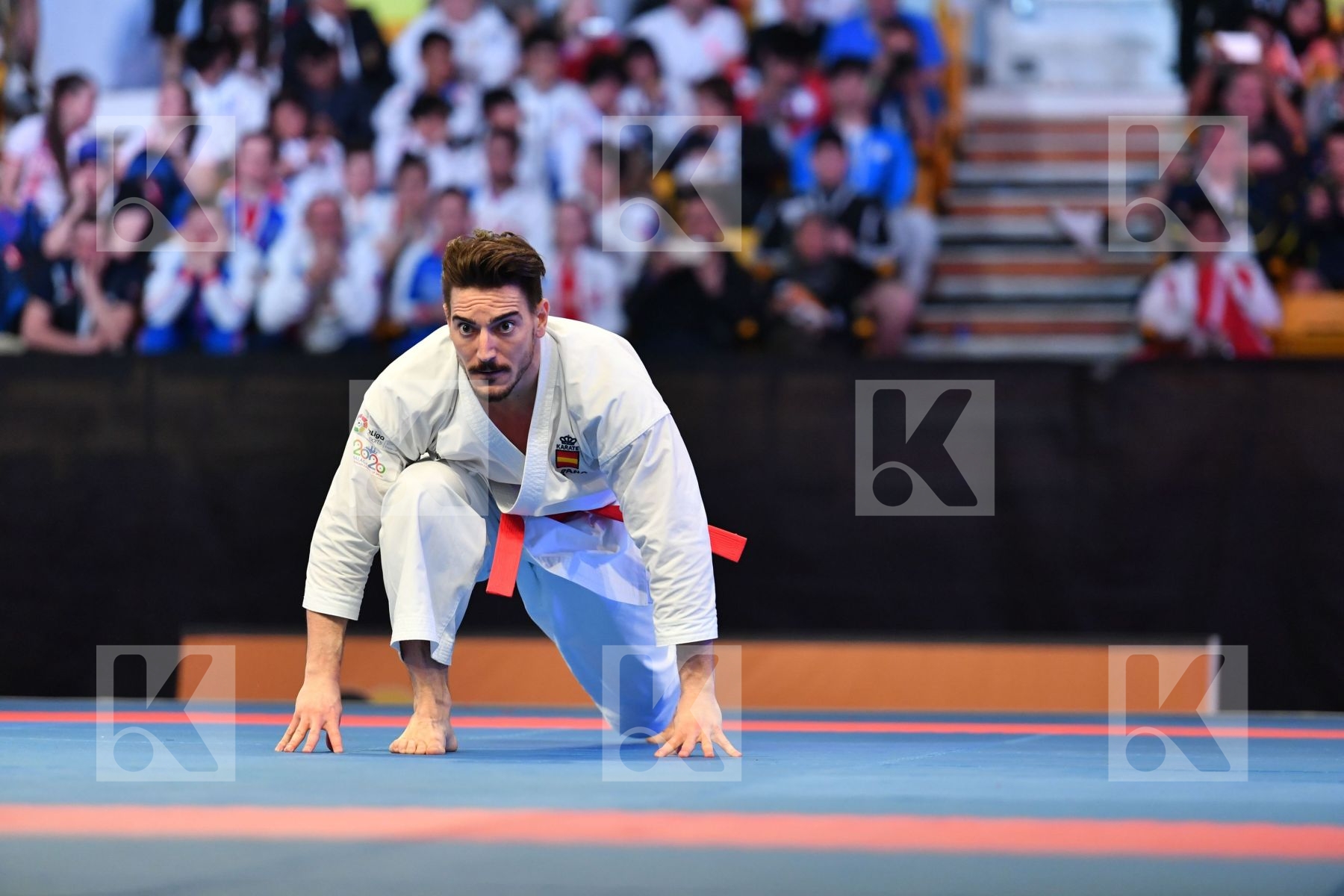 Male kata < LRBarcodes Quintero Damian Spain