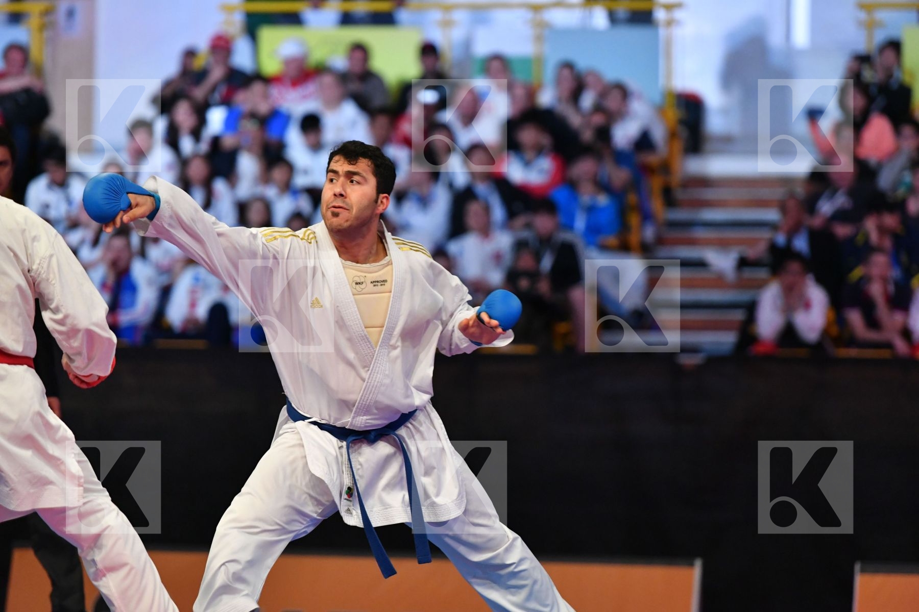 Arkania Gogita Ganjzadeh Sajad Georgia Iran Male kumite 84+ kg