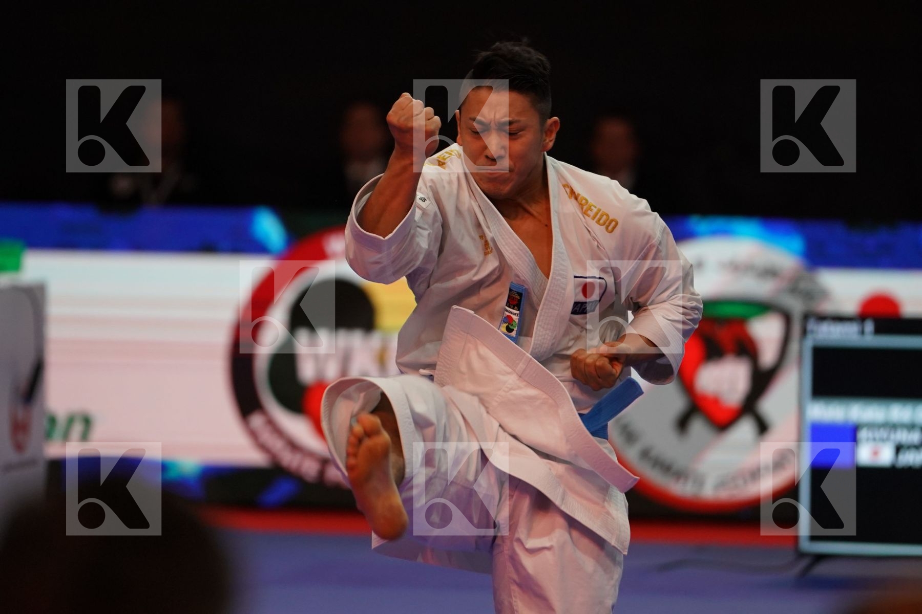 KIYUNA RYO (JAPAN) in Senior Male Kata - Gold bout