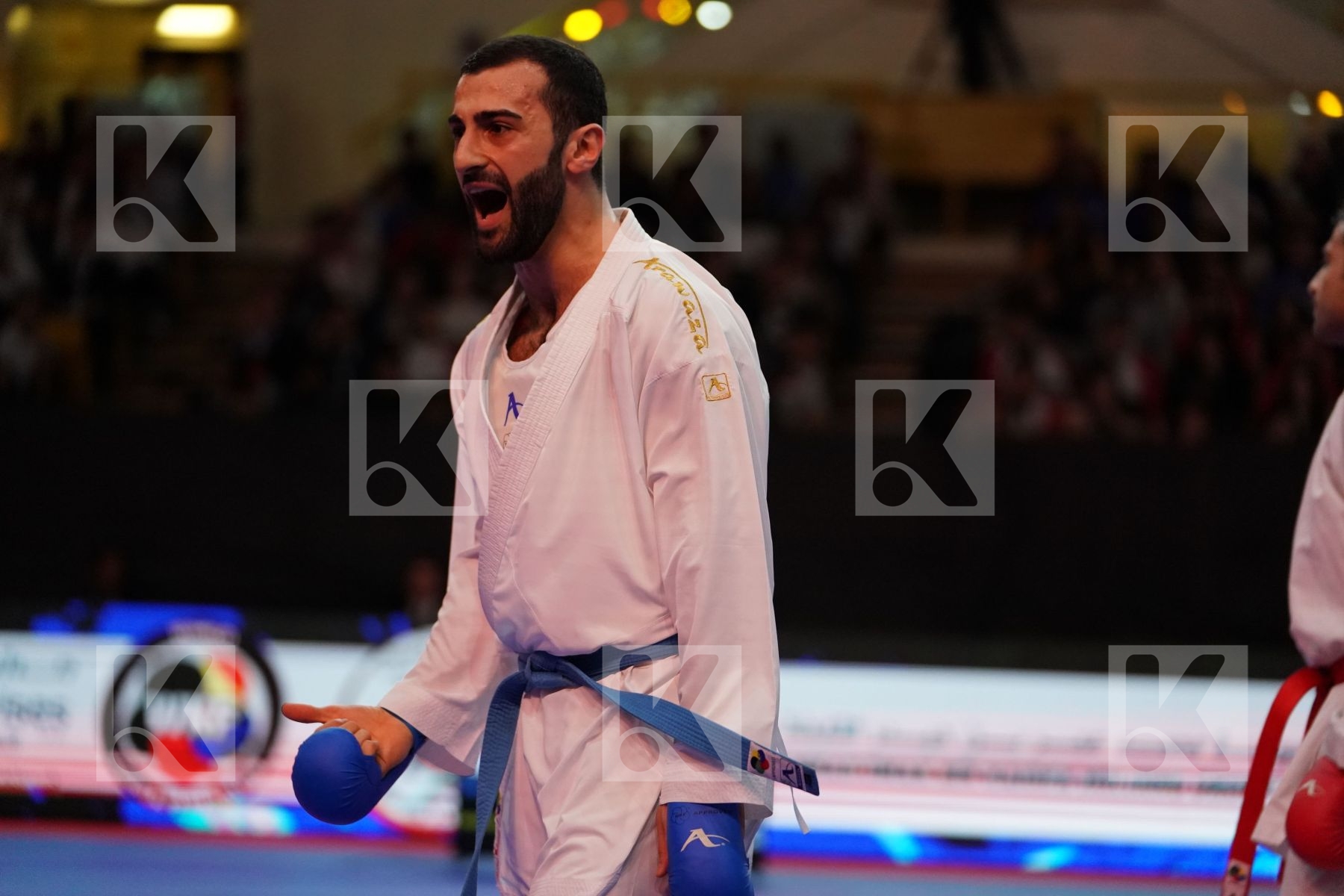 FADAKAR ALI (ISLAMIC REPUBLIC OF IRAN) VS AKTAS UGUR (TURKEY) in Senior Kumite -84 Kg - Gold bout