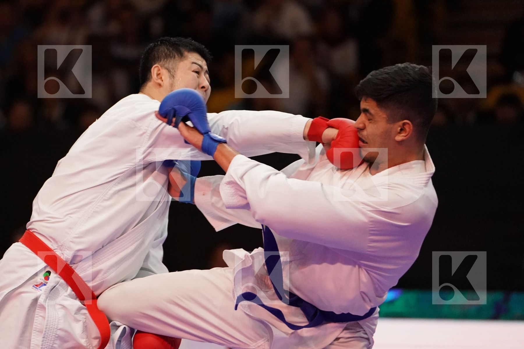 KAGAWA HIDEYOSHI (JAPAN) VS FILALI MEHDI (FRANCE) in Senior Kumite 84+ Kg - Gold bout