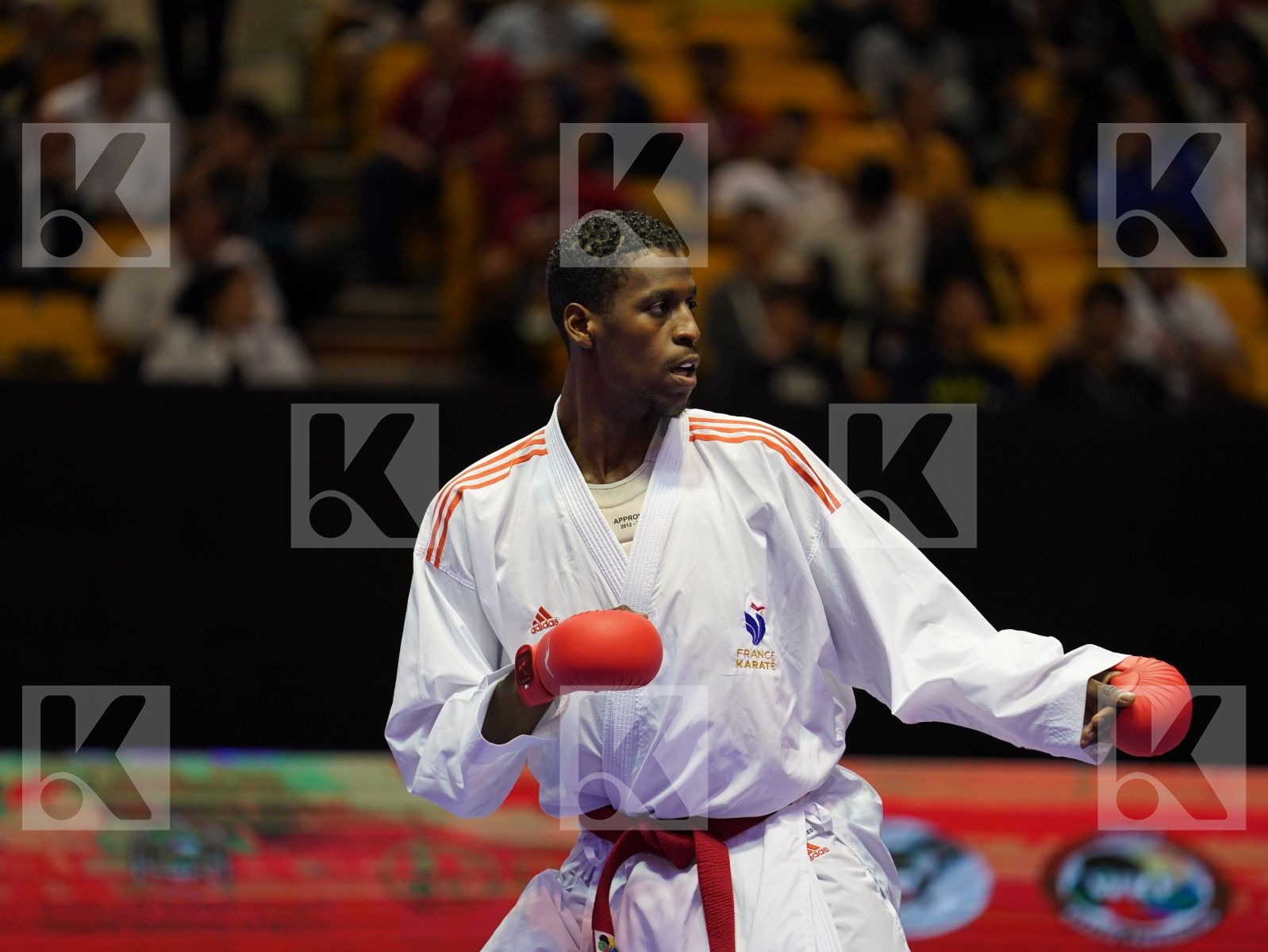 JACQUET DNYLSON (France) vs MAHMOUD TAHA TAREK (Egypt) in Senior Kumite 84+ Kg - Bronze bout