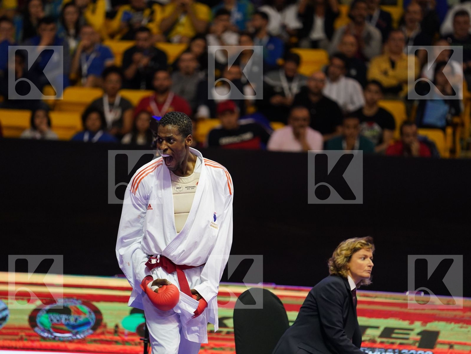 JACQUET DNYLSON (France) vs MAHMOUD TAHA TAREK (Egypt) in Senior Kumite 84+ Kg - Bronze bout