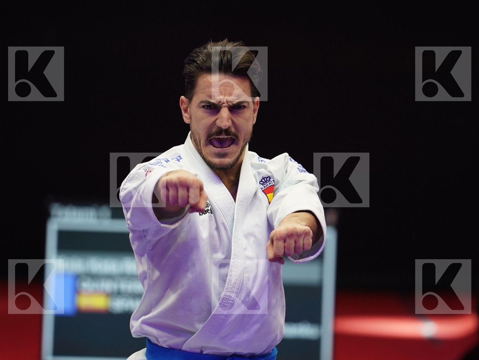 QUINTERO CAPDEVILA DAMIAN HUGO (Spain) in Senior Male Kata - Gold bout