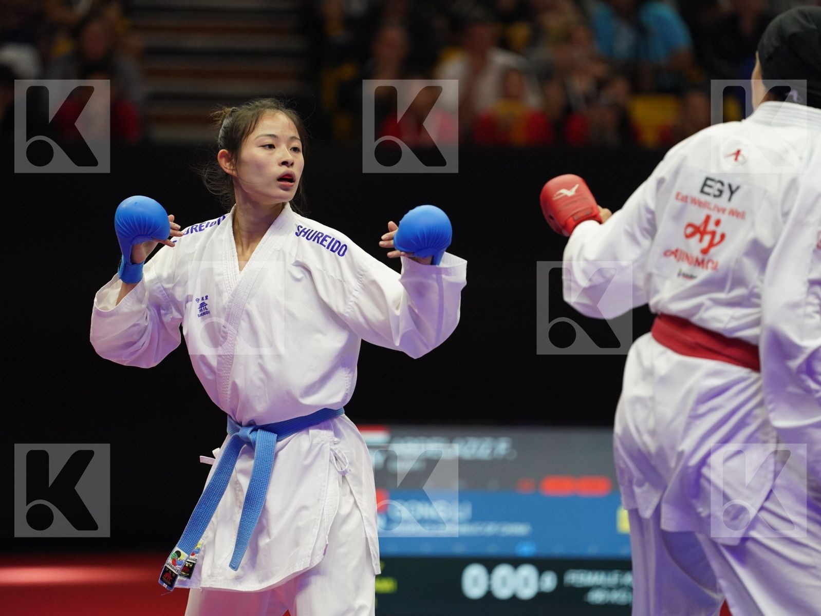 ABDELAZIZ FERYAL (Egypt) vs GONG LI (China) in Senior Kumite -68 Kg - Gold bout