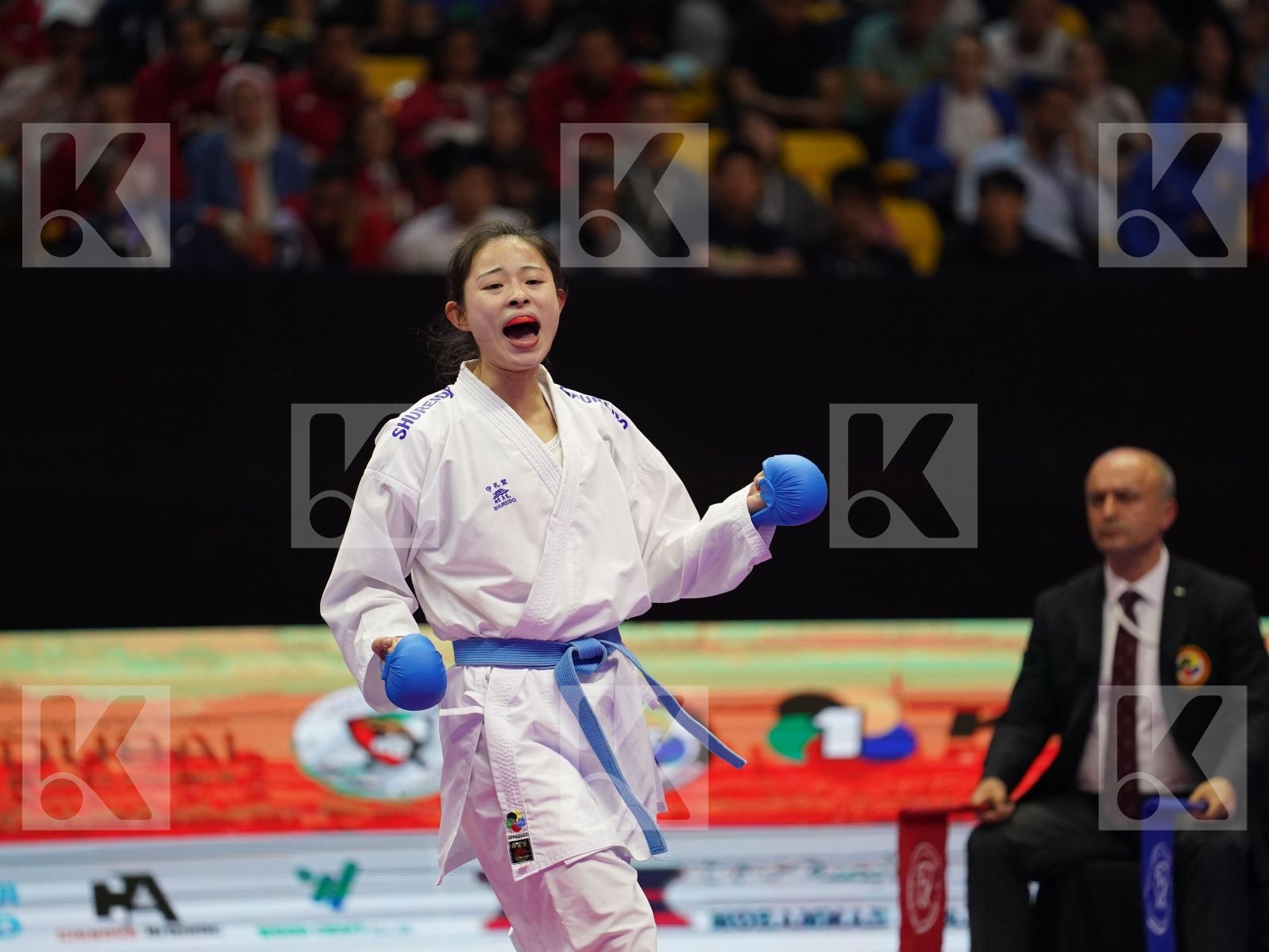 ABDELAZIZ FERYAL (Egypt) vs GONG LI (China) in Senior Kumite -68 Kg - Gold bout