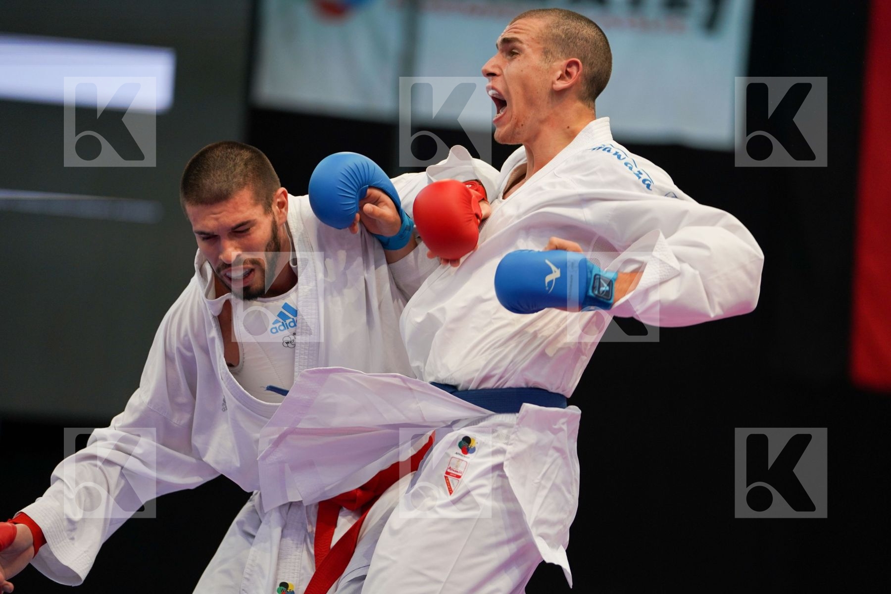 Canada France Gaysinsky Daniel Male kumite 84+ kg Reis Filipe