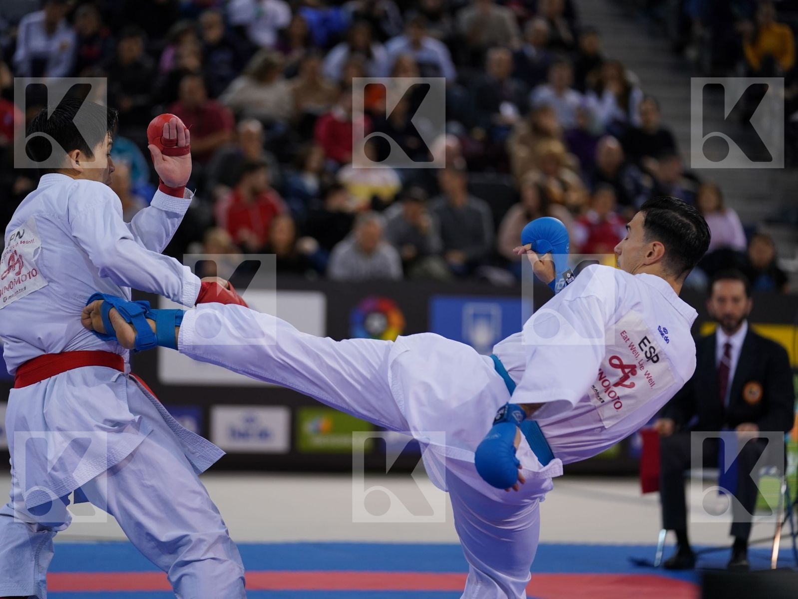 SAKIYAMA YUSEI (JAPAN) vs IBANEZ SAENZ-TORRE RODRIGO (SPAIN) in Senior Kumite -75 Kg - Bronze bout