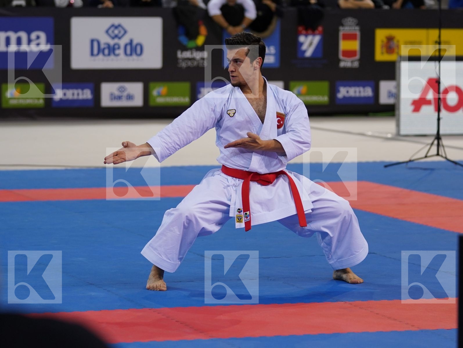 SOFUOGLU ALI (TURKEY) in Senior Male Kata - Gold bout