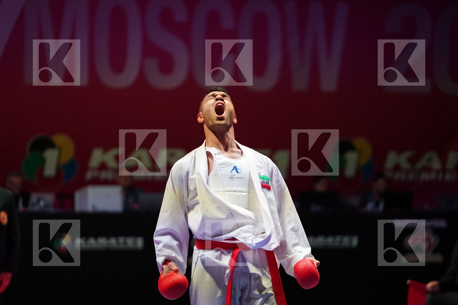 POORSHAB ZABIHOLLAH (IRAN) vs ARAGA RYUTARO (JAPAN) in Senior Kumite -84 Kg - Gold bout