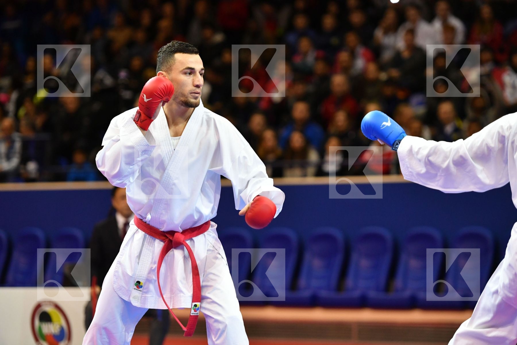 Aliyev Niyazi Alkhathami Fahad Azerbaijan Male kumite -67 kg Sau
