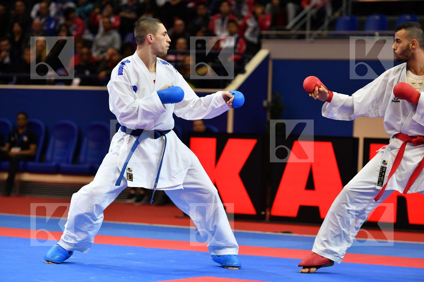 El sharaby Ahmed Horuna Stanislav Italy Male kumite -75 kg Ukrai