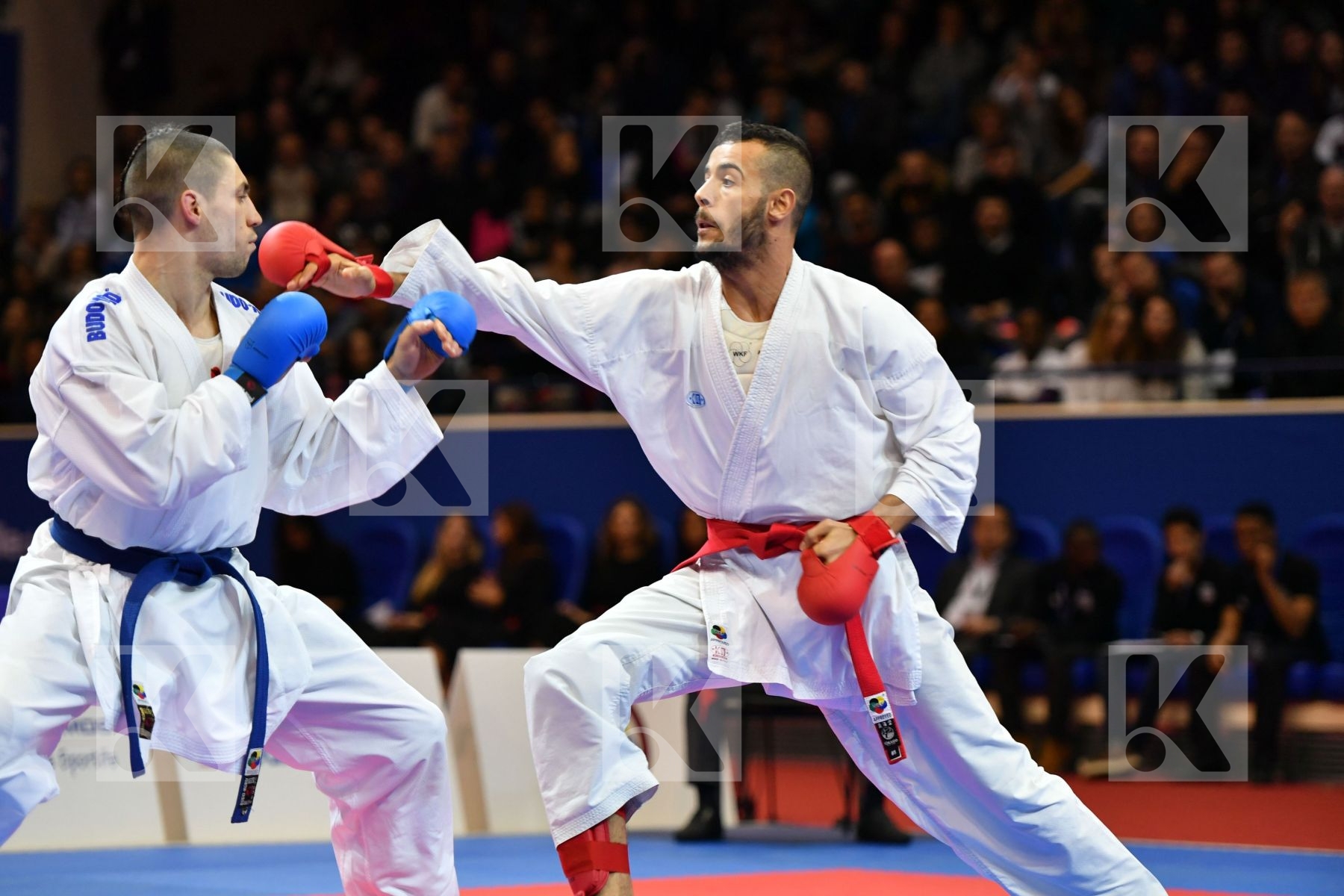 El sharaby Ahmed Horuna Stanislav Italy Male kumite -75 kg Ukrai
