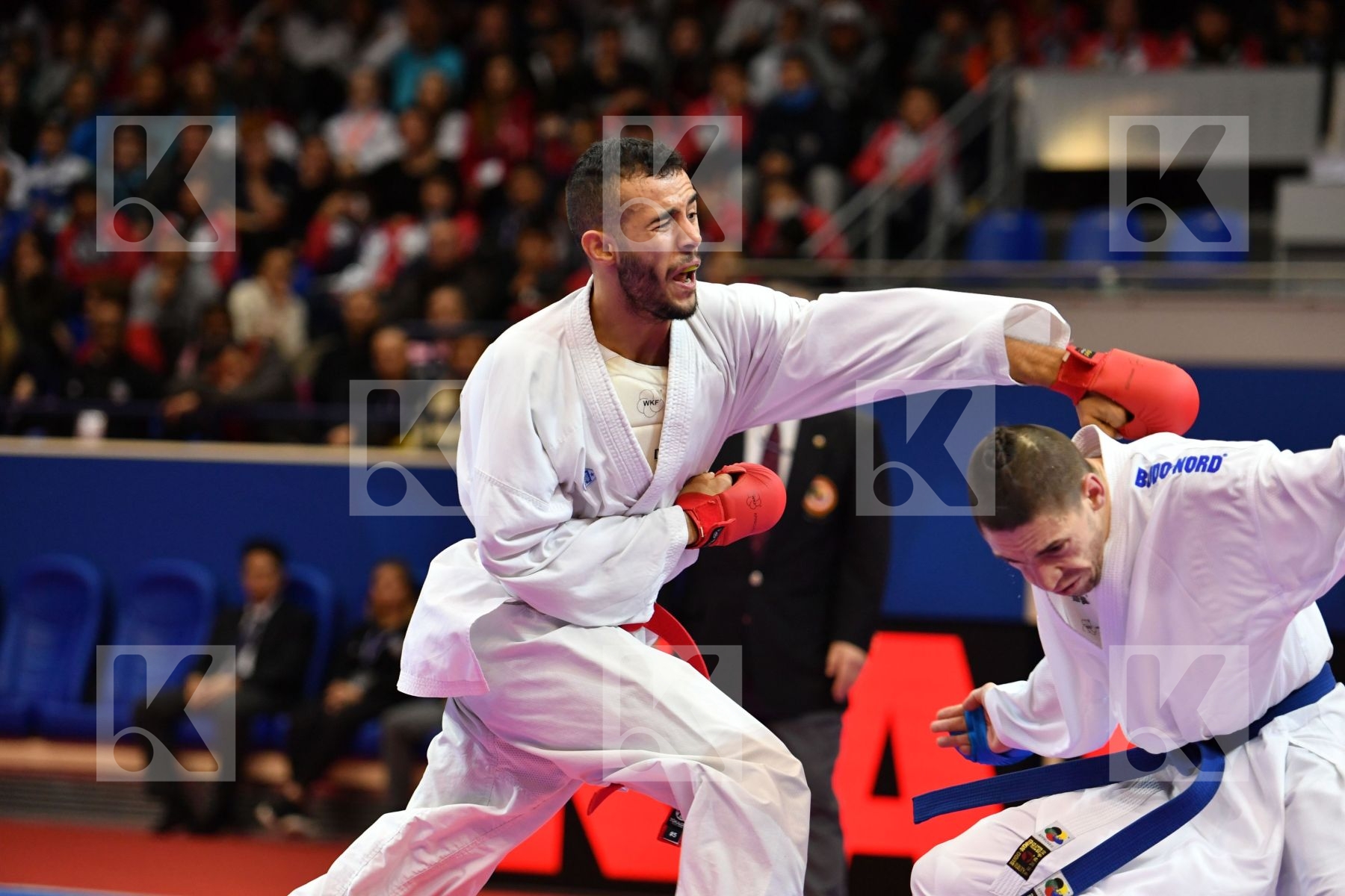 El sharaby Ahmed Horuna Stanislav Italy Male kumite -75 kg Ukrai
