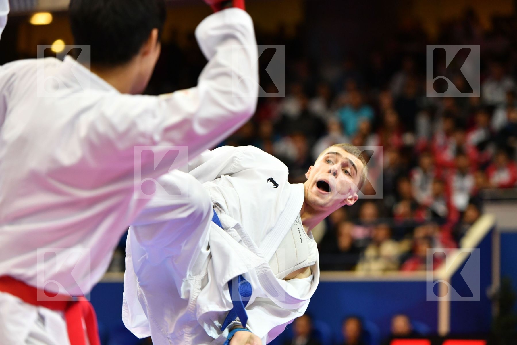 Araga Ryutaro Granovesov Ilya Japan Male kumite -84 kg Russian f