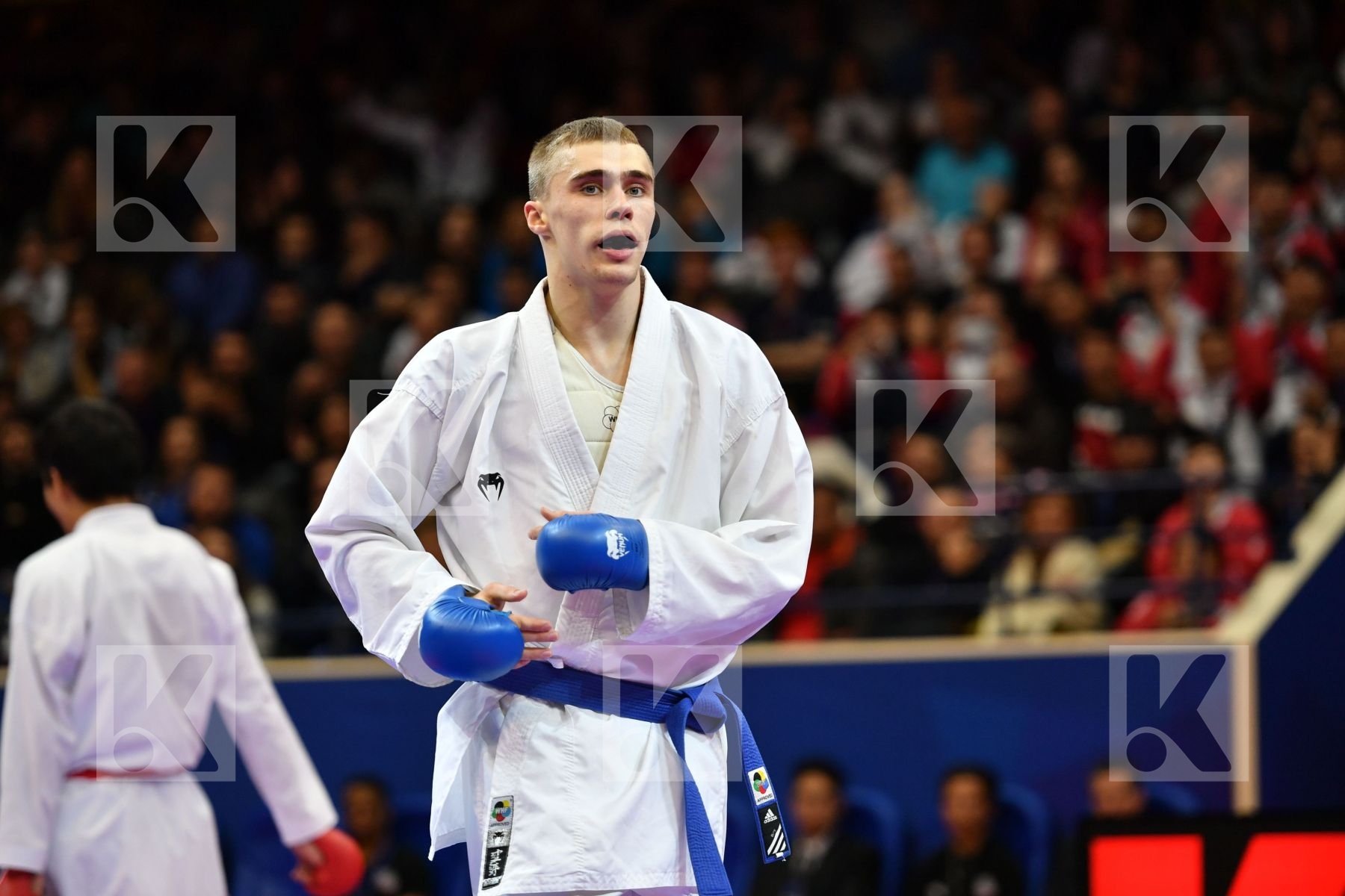 Araga Ryutaro Granovesov Ilya Japan Male kumite -84 kg Russian f