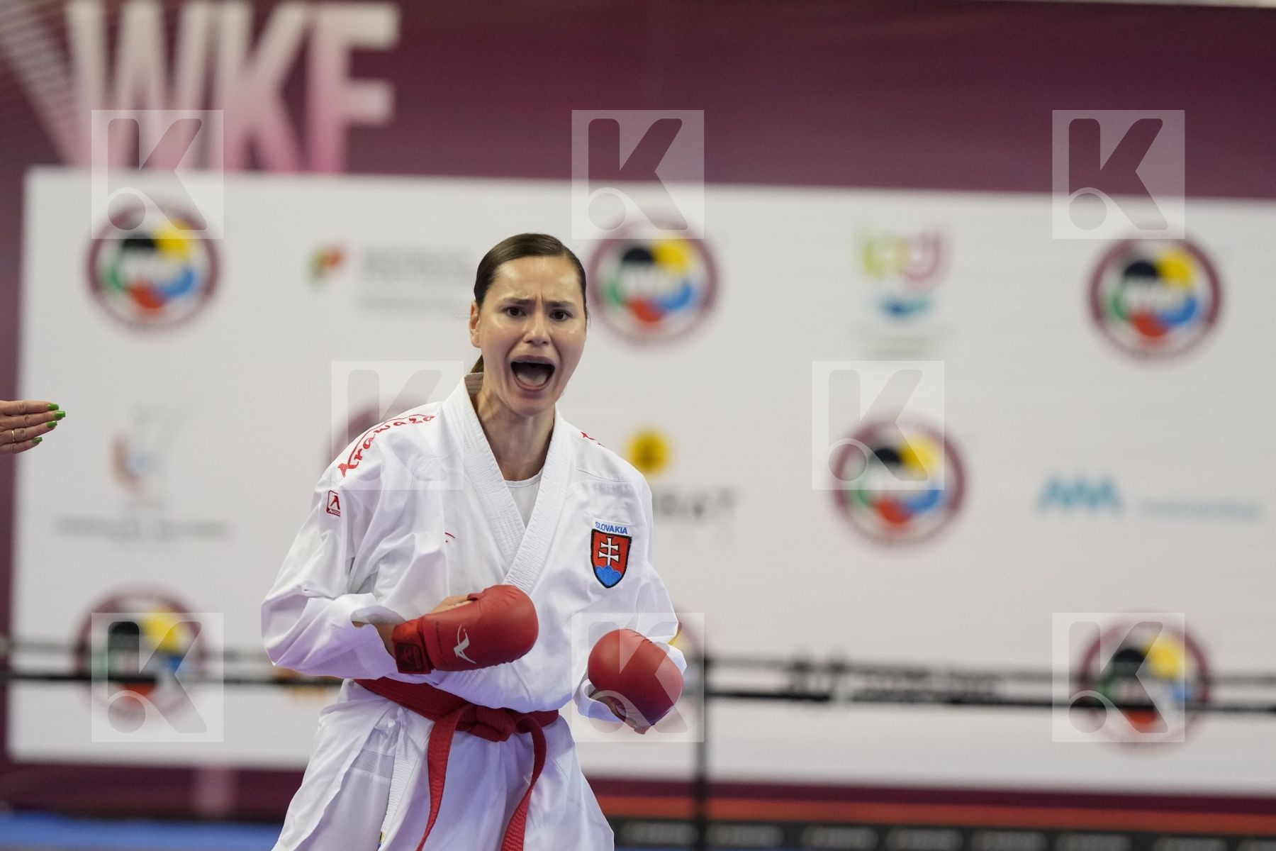 Kumite bronze bout featuring Miroslava Kopunova & Alyna Melnyk