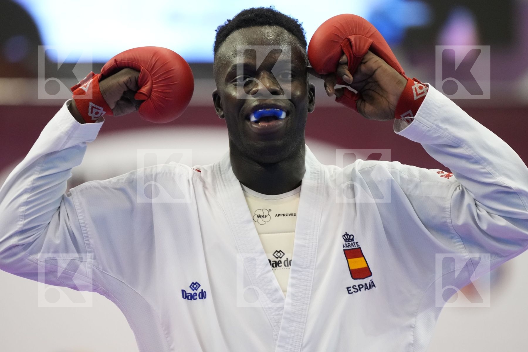 Kumite final bout featuring SECK SAKHO BABACAR & Timmermans Rob