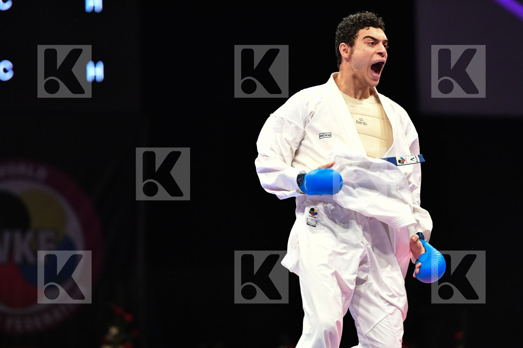 Egypt Elmasry Ahmed Male kumite -84 kg Morocco Oufkir Iliass
