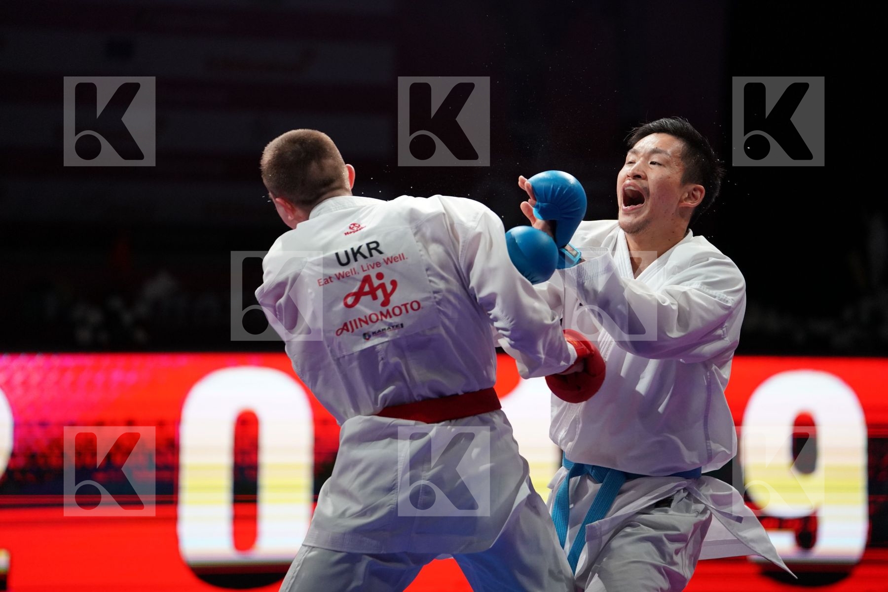 CHOBOTAR VALERII (UKRAINE) VS ARAGA RYUTARO (JAPAN) in Senior Kumite -84 Kg - Gold bout