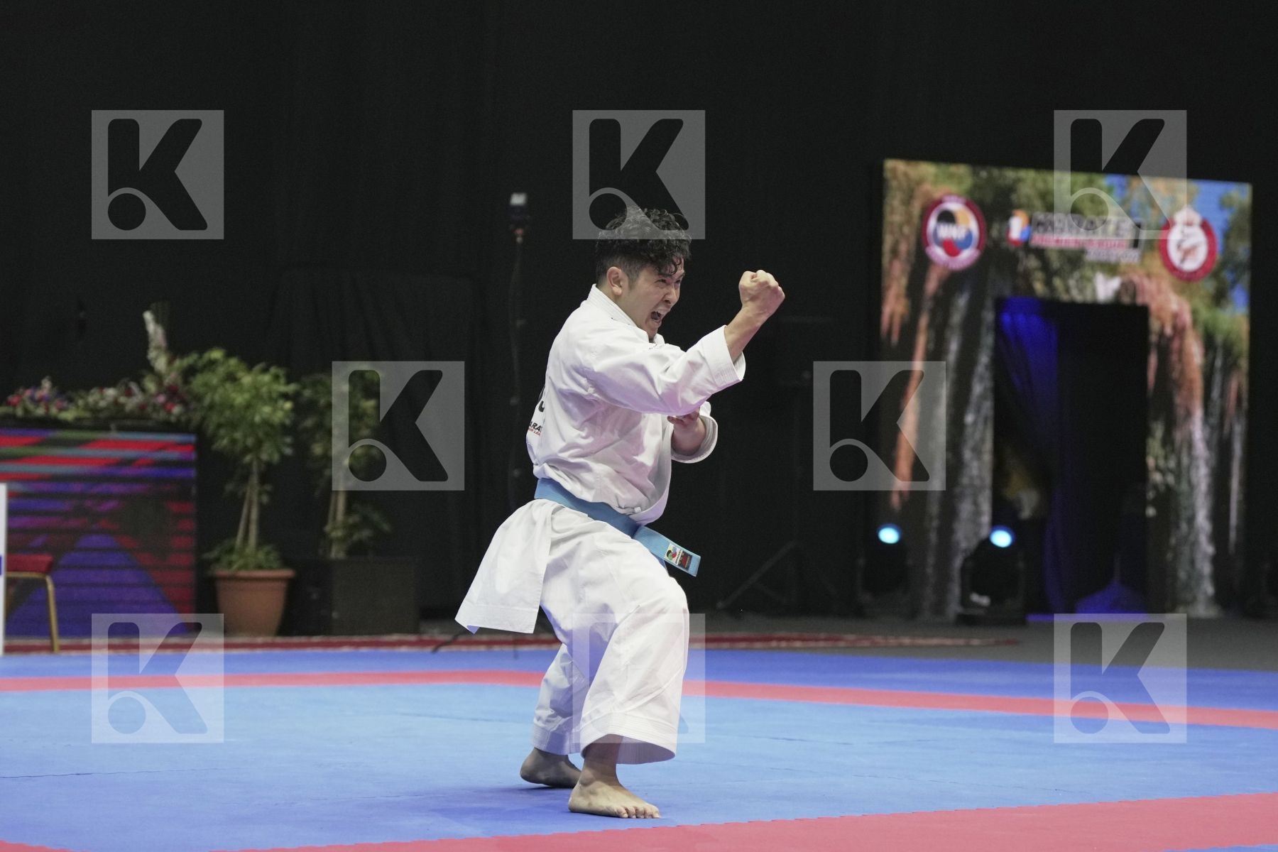 Kata final bout featuring Tozaki Gakuji
