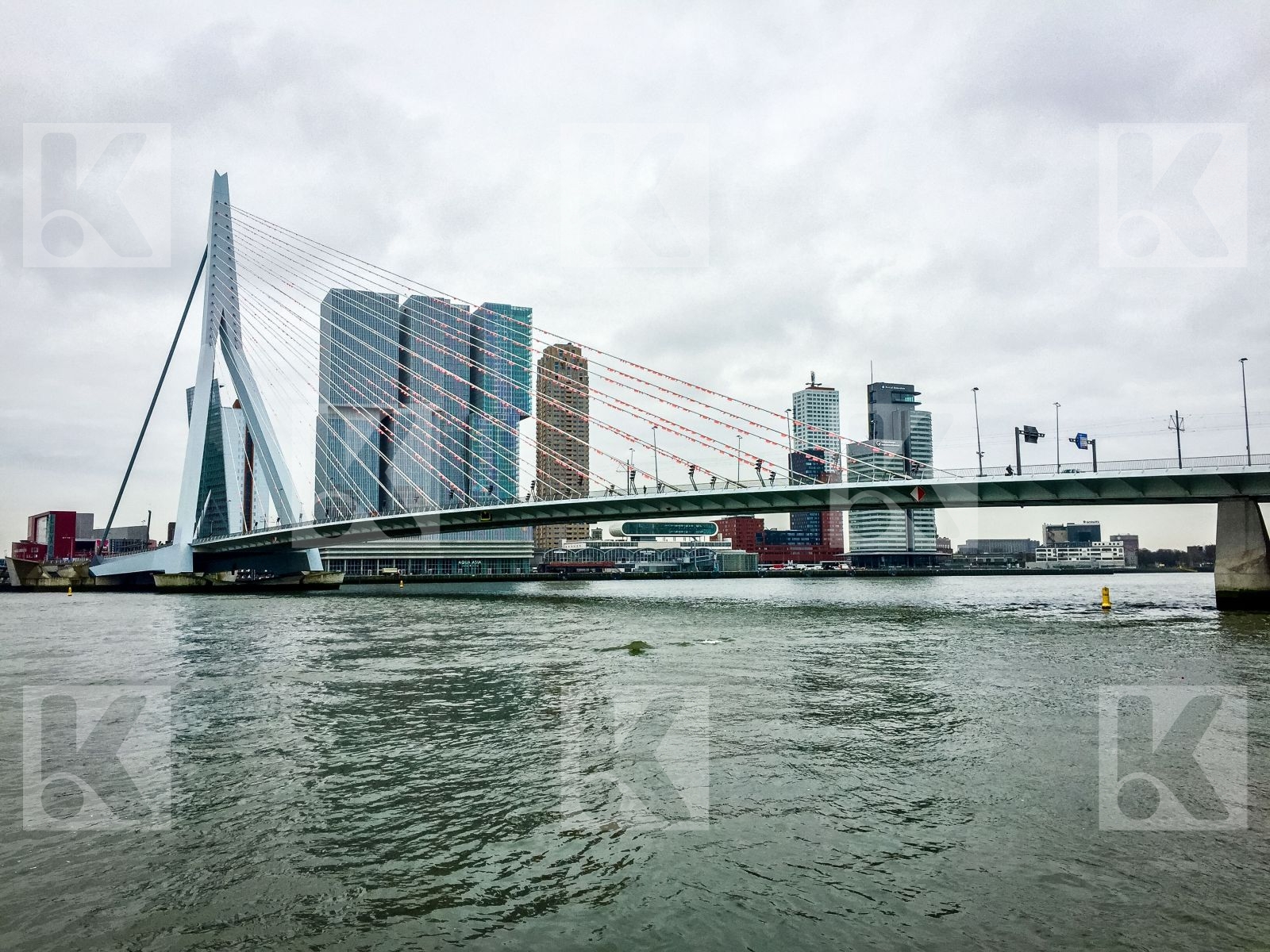 Rotterdam2016 0029