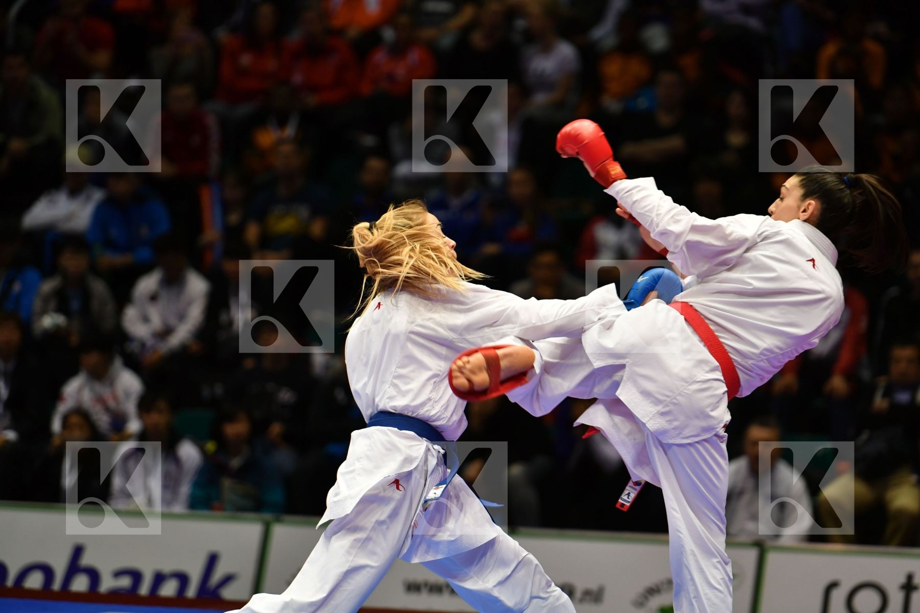 Croatia Female kumite -55 kg Hasani Alesandra Terluyga Anzhelika