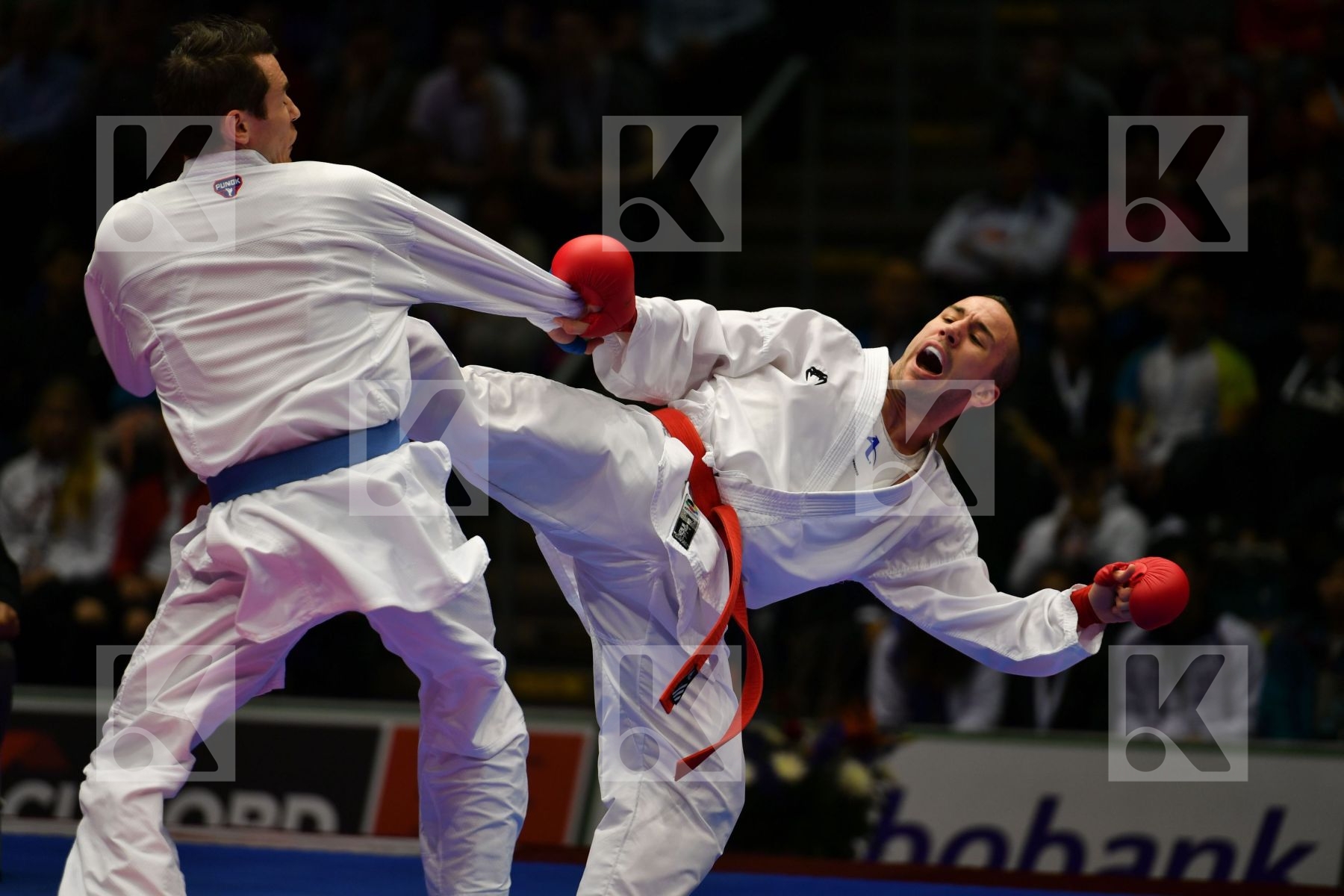 Costa Logan France Male kumite -75 kg Scott Thomas United states
