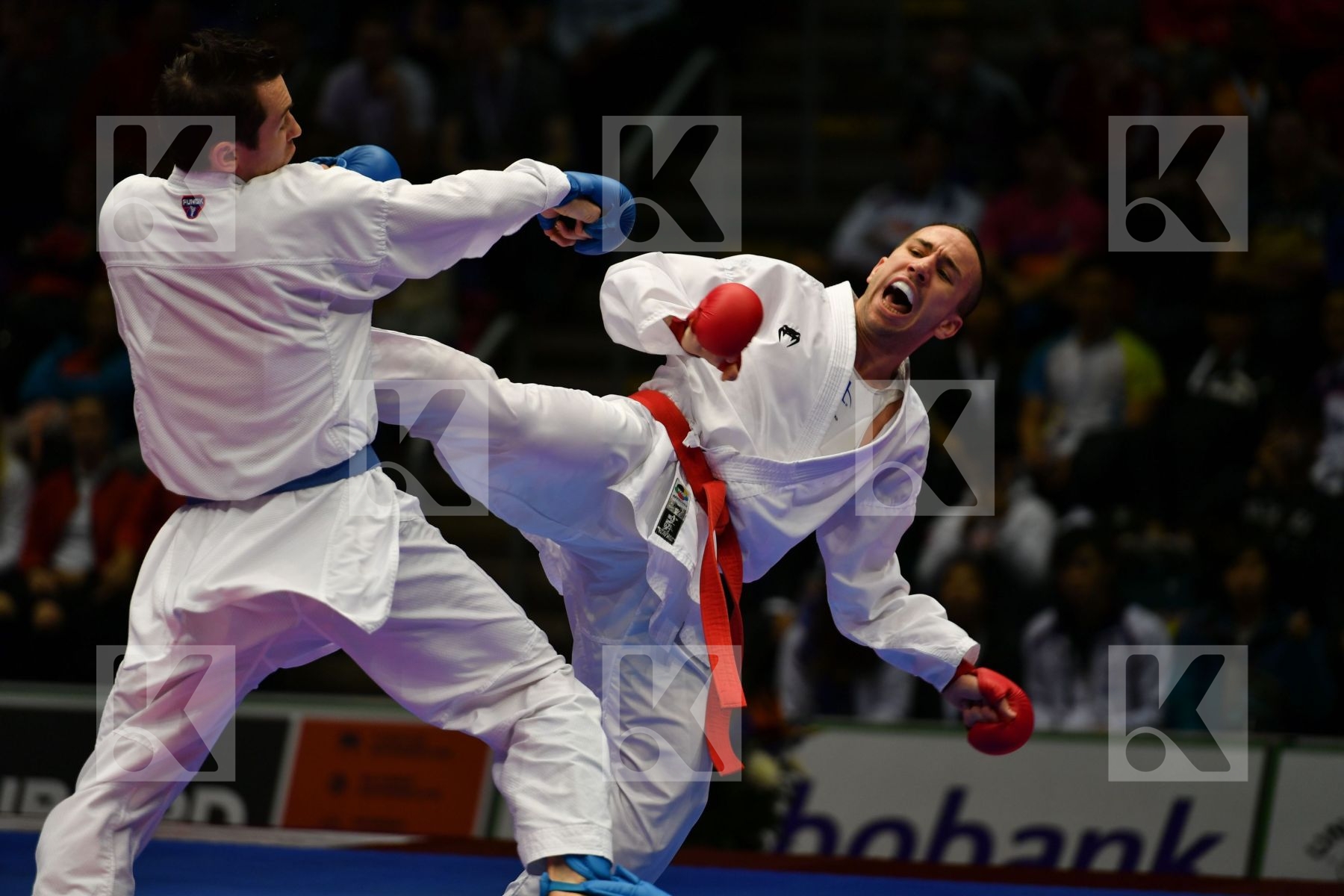 Costa Logan France Male kumite -75 kg Scott Thomas United states