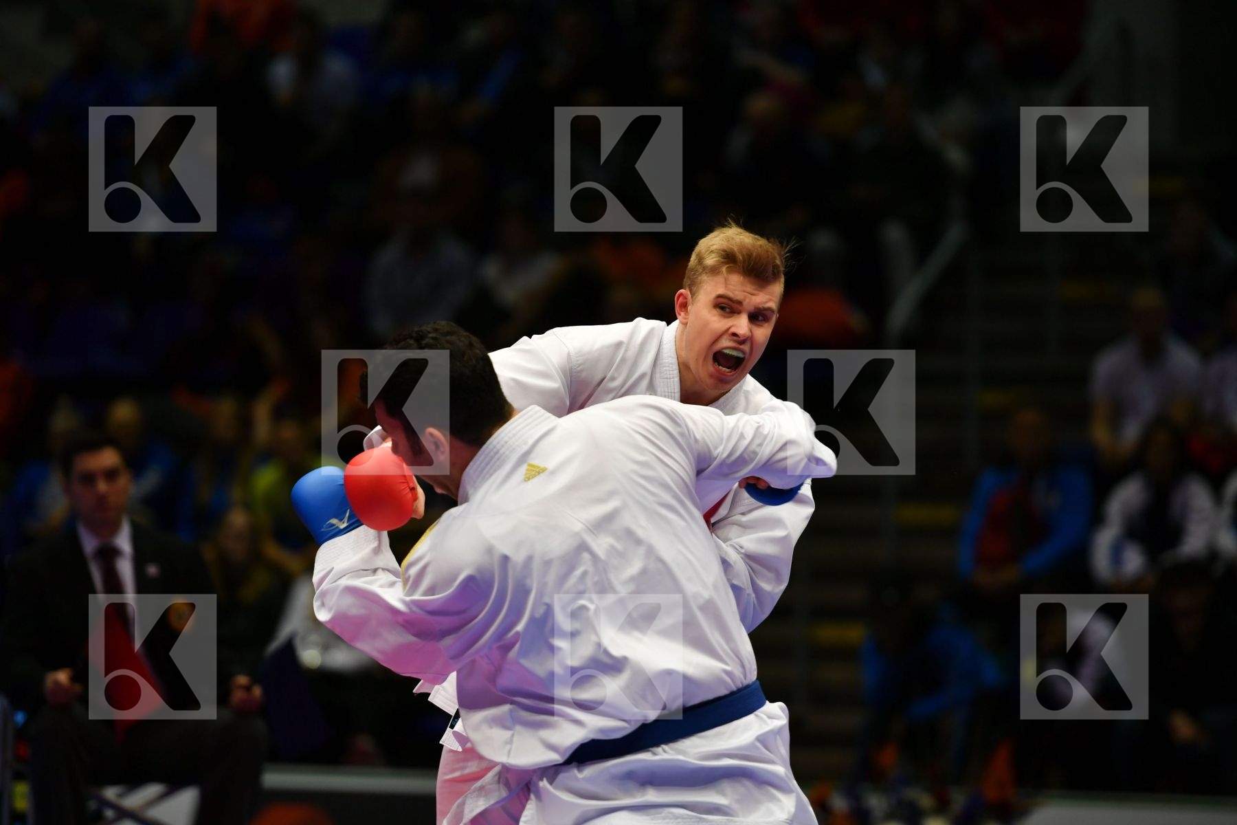 Estonia Ganjzadeh Sajad Iran  islamic republic of Male kumite 84